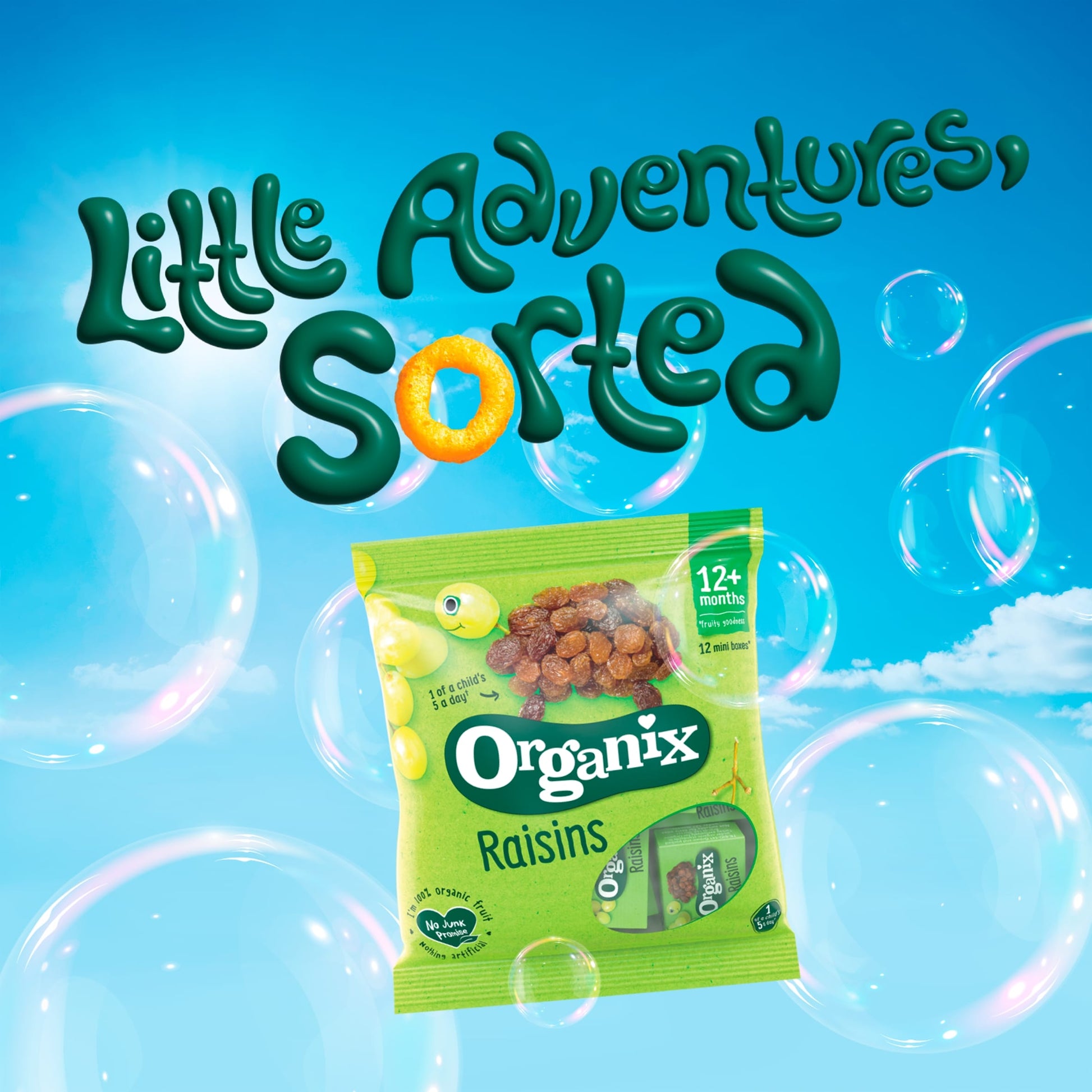 Organix Raisins 12 X 14G — image 3