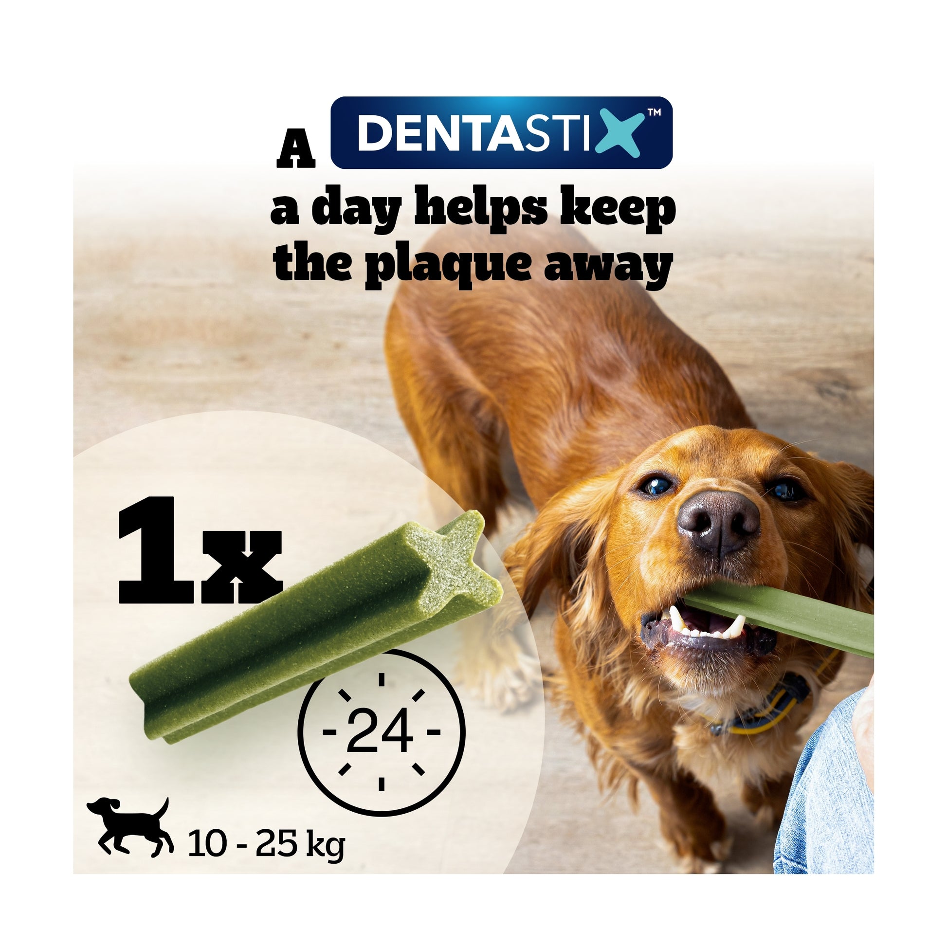 Pedigree Dentastix Fresh Medium Dog Treats 5 Dental Sticks — image 5