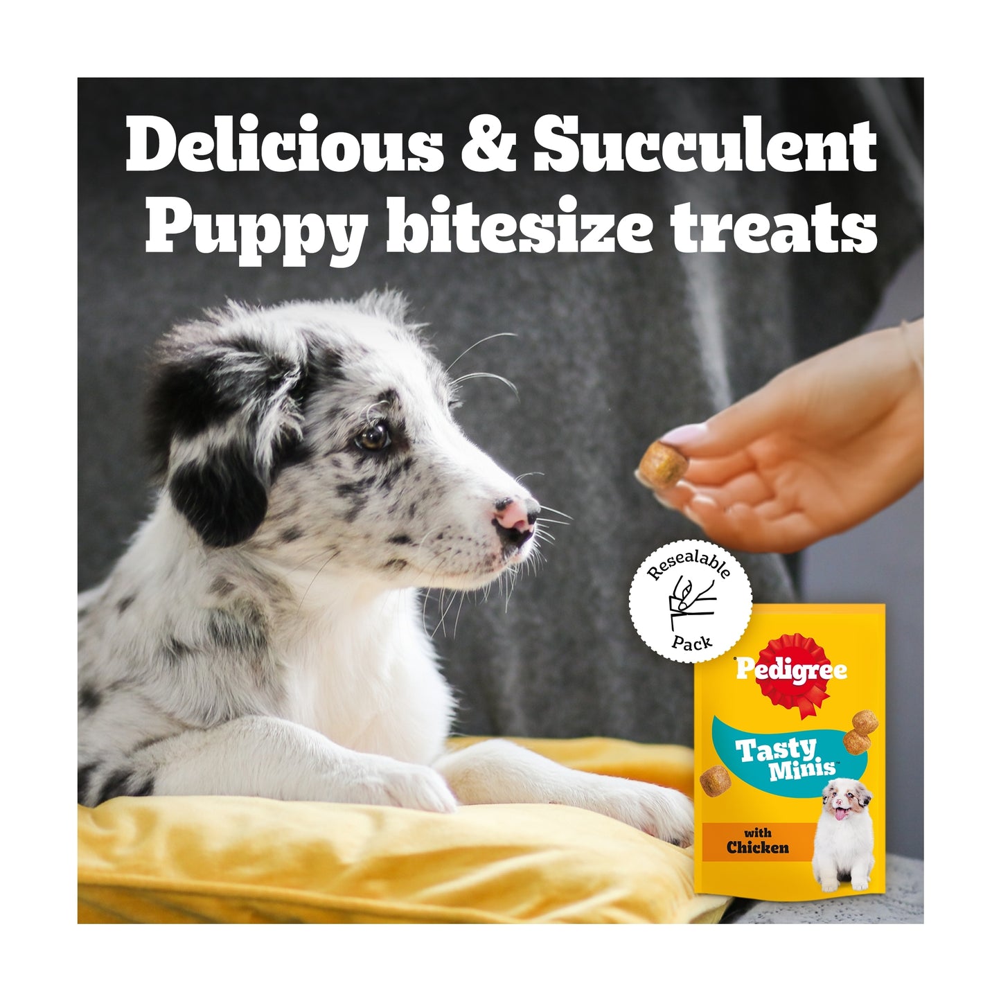 Pedigree Puppy Dog Food Treats Tasty Minis Cubes Chicken 125g — image 4