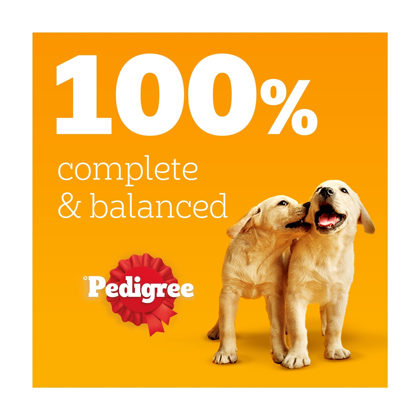 Pedigree Puppy Wet Dog Food Pouches Mixed in Jelly 12x100g — image 3