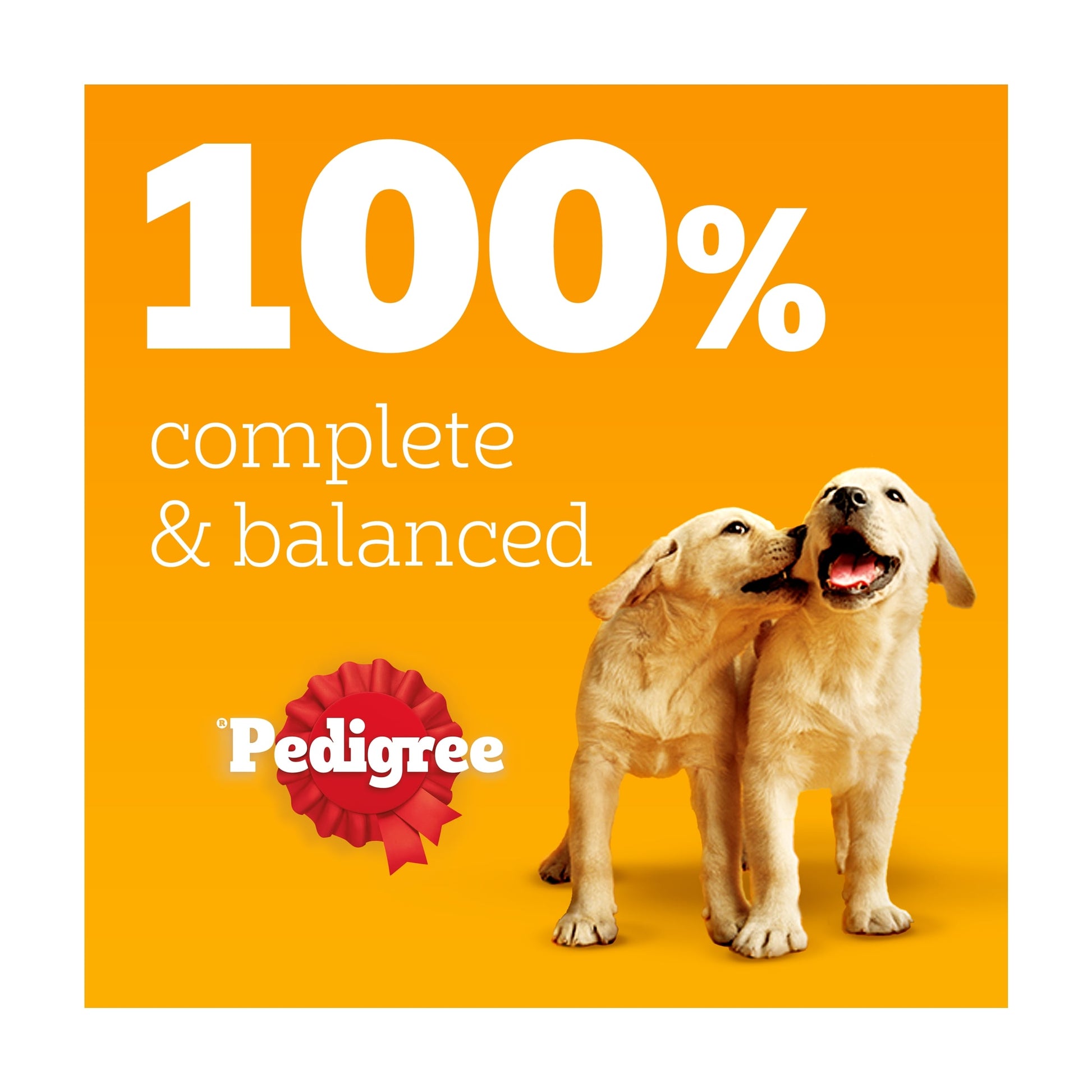 Pedigree Puppy Wet Dog Food Pouches Mixed in Jelly 12x100g — image 3