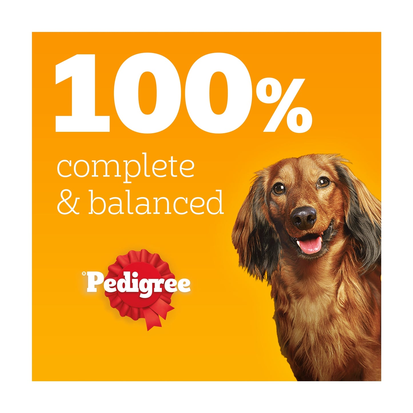 Pedigree Senior Wet Dog Food Pouches Mixed in Jelly 12x100g — image 3