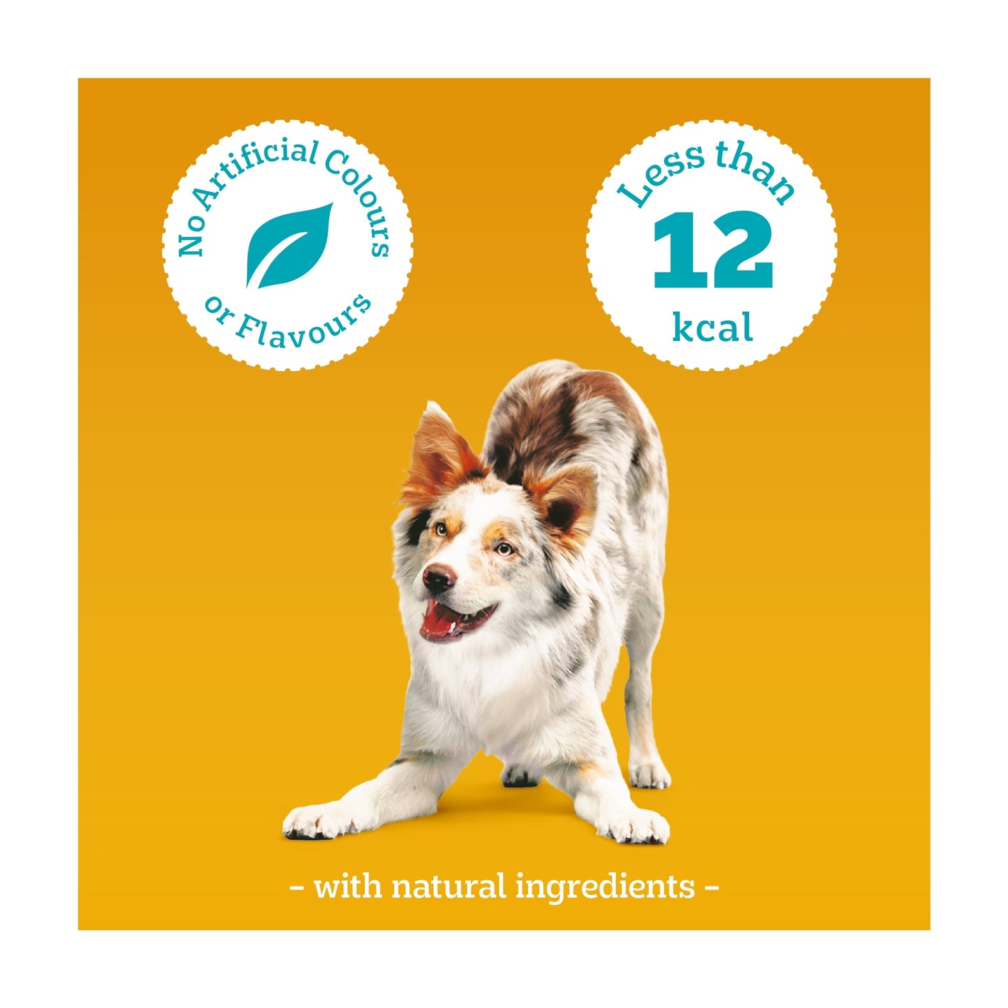 Pedigree Tasty Minis Adult Dog Treat Cubes Chicken & Duck 130g — image 4