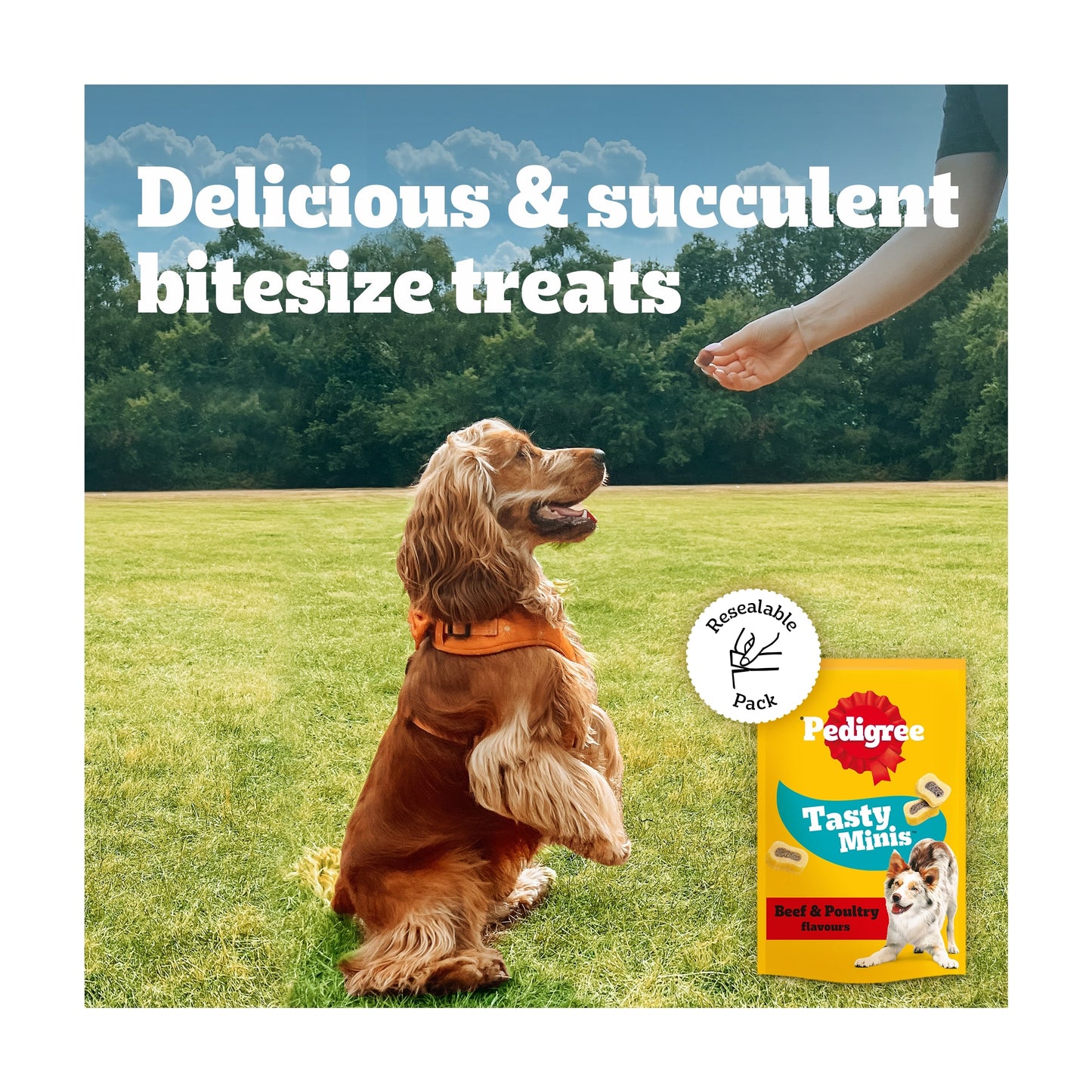 Pedigree Tasty Minis Adult Dog Treat Slices Beef & Poultry 155g — image 4