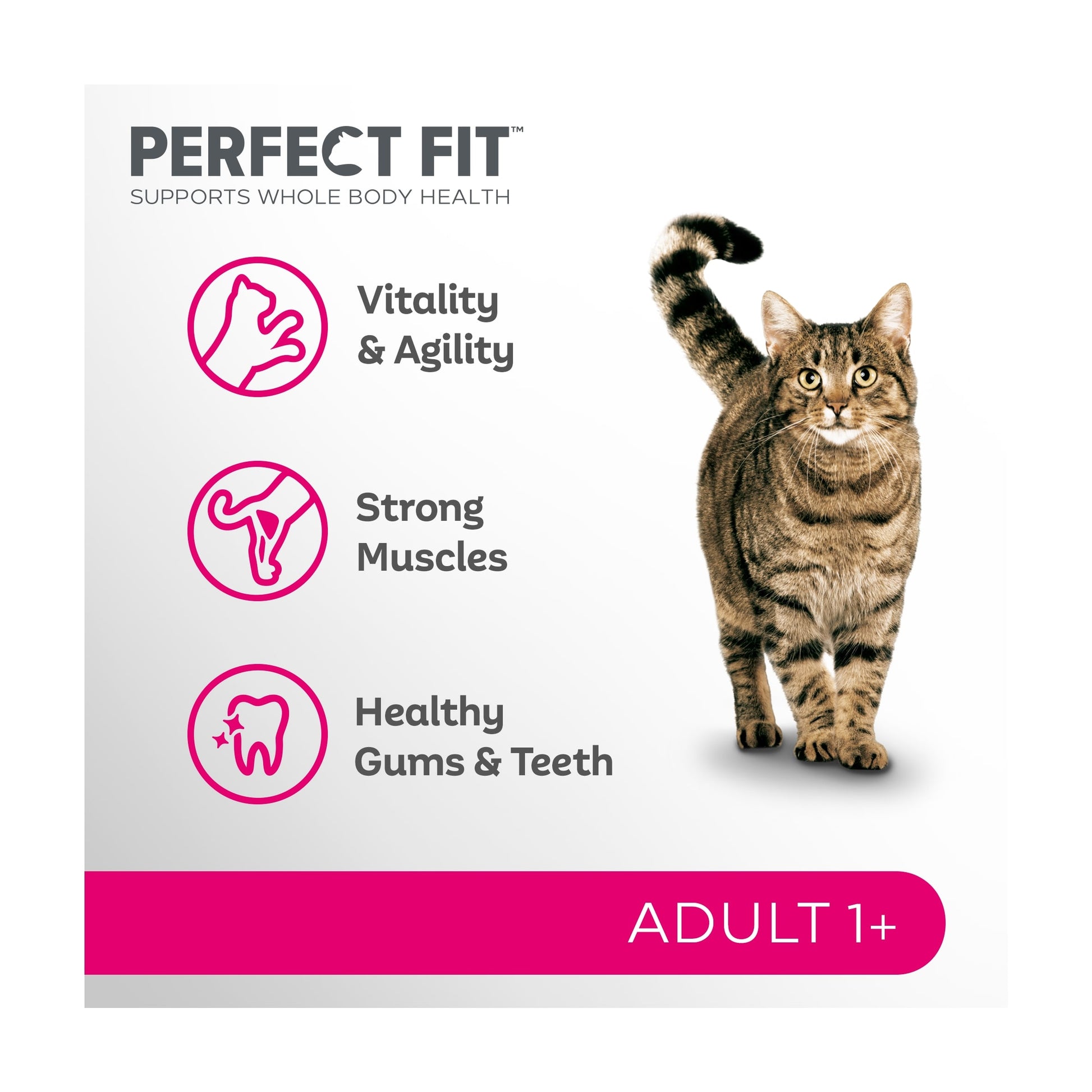 Perfect Fit Adult 1+ Dry Cat Food - Salmon 750g — image 2
