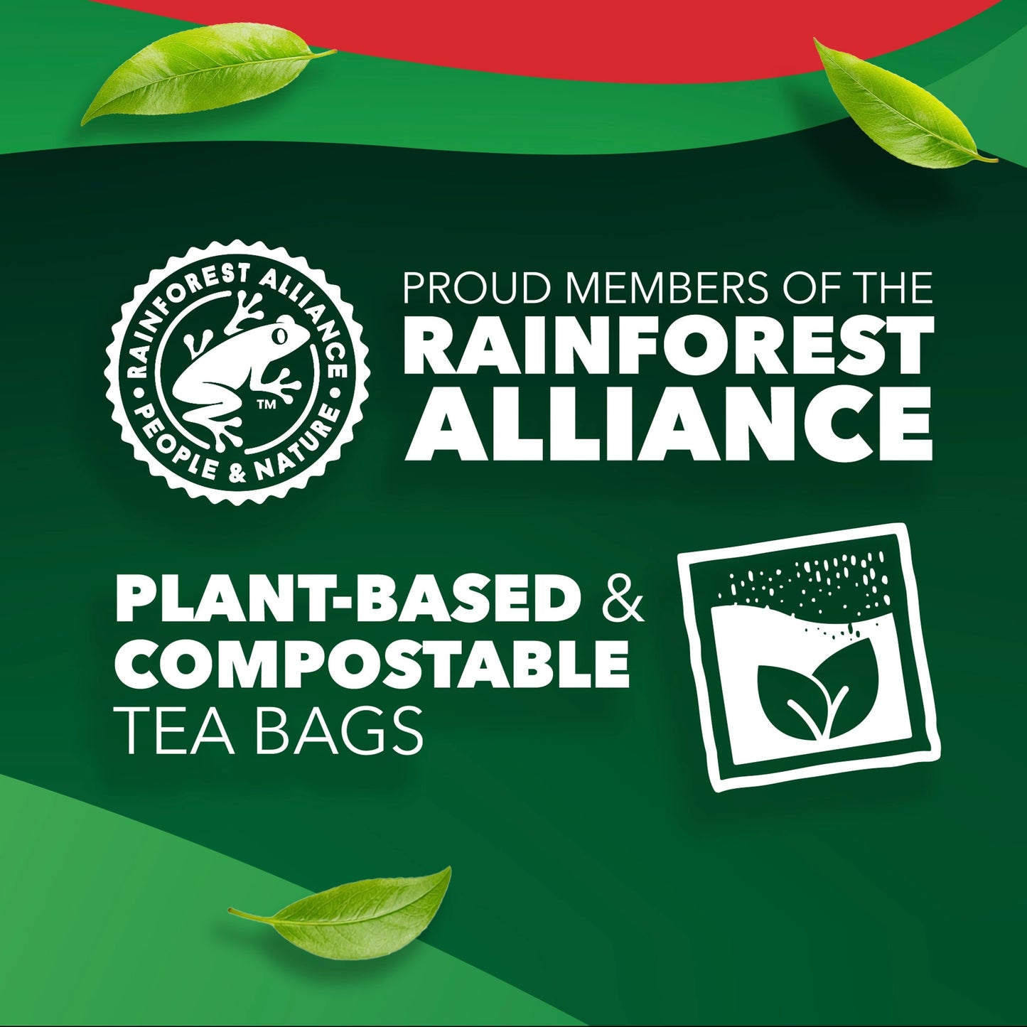 PG Tips Original Black Tea 210 Tea Bags 609g — image 4