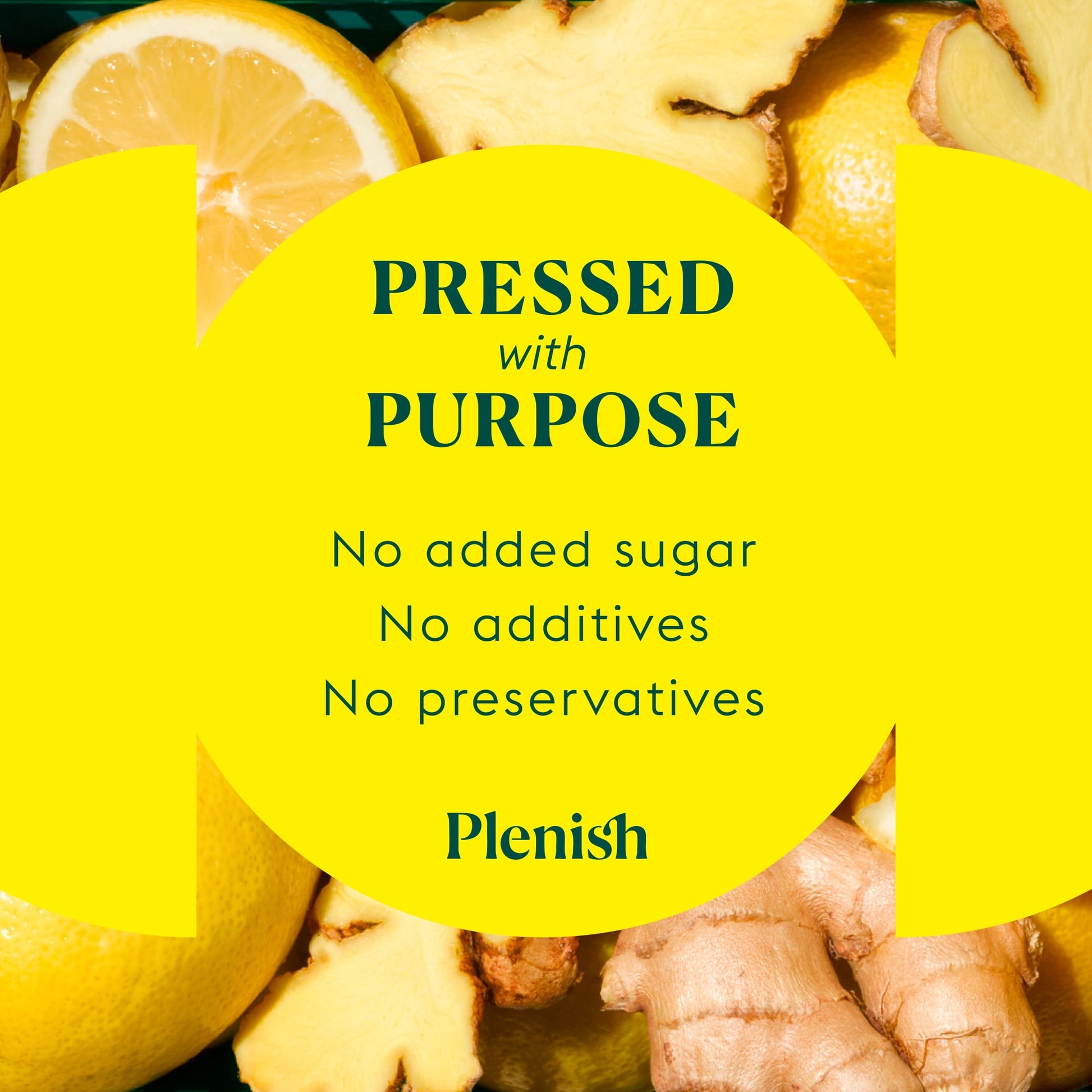 Plenish Ginger Immunity Dosing Bottle 7x Shots 420ml — image 3
