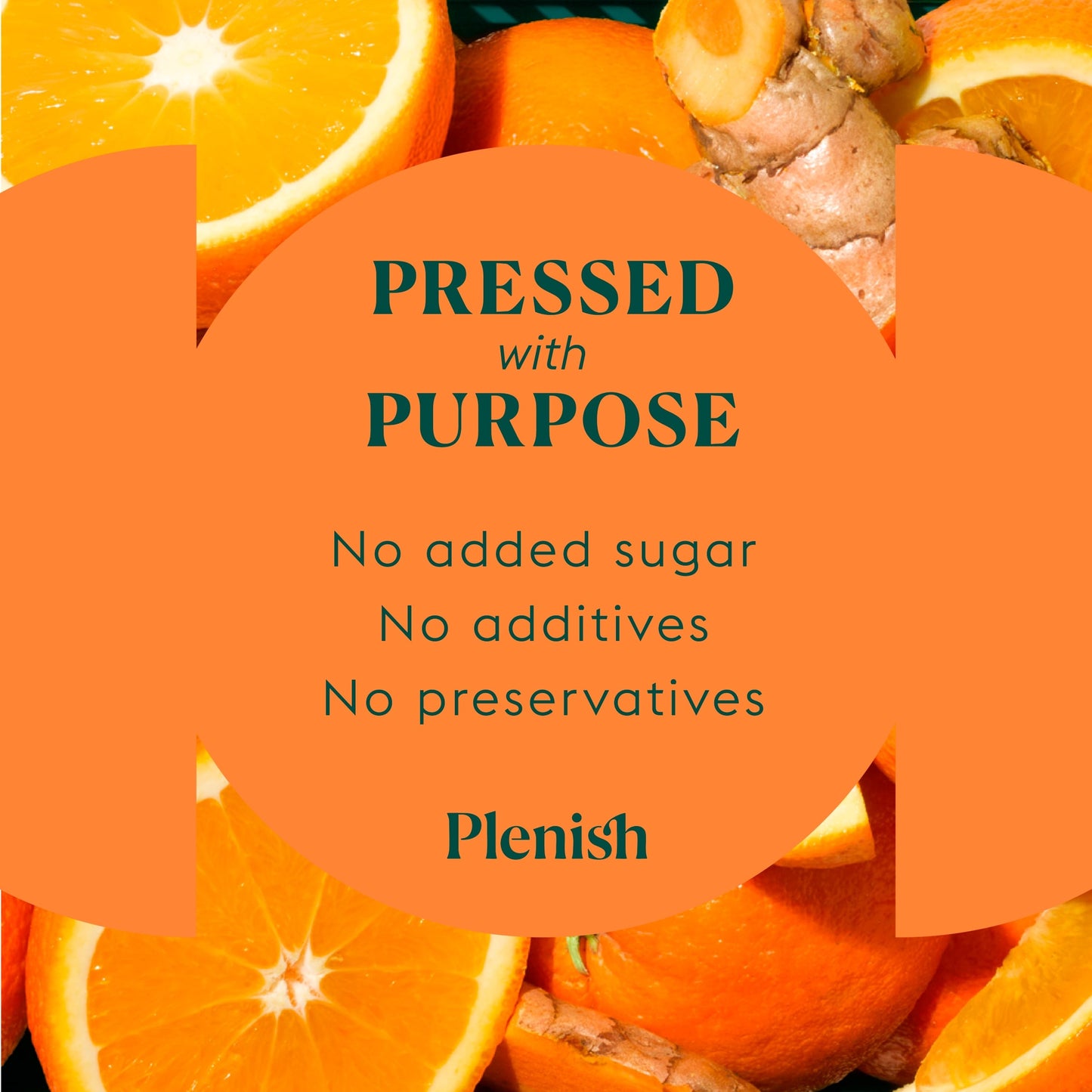 Plenish Turmeric Recovery Dosing Bottle 7x Shots 420ml — image 3