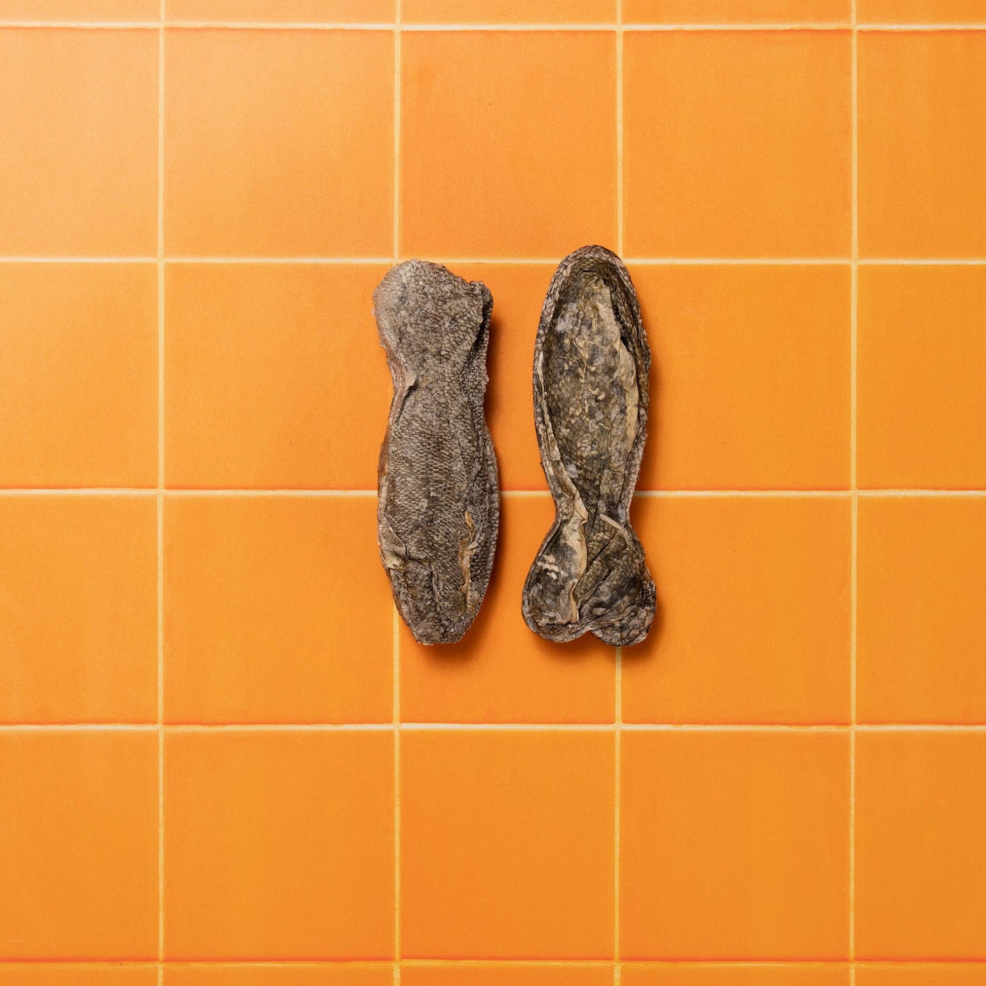 Pooch & Mutt 100% Cod 2 Fish Hide Chews for Dogs 90g — image 2
