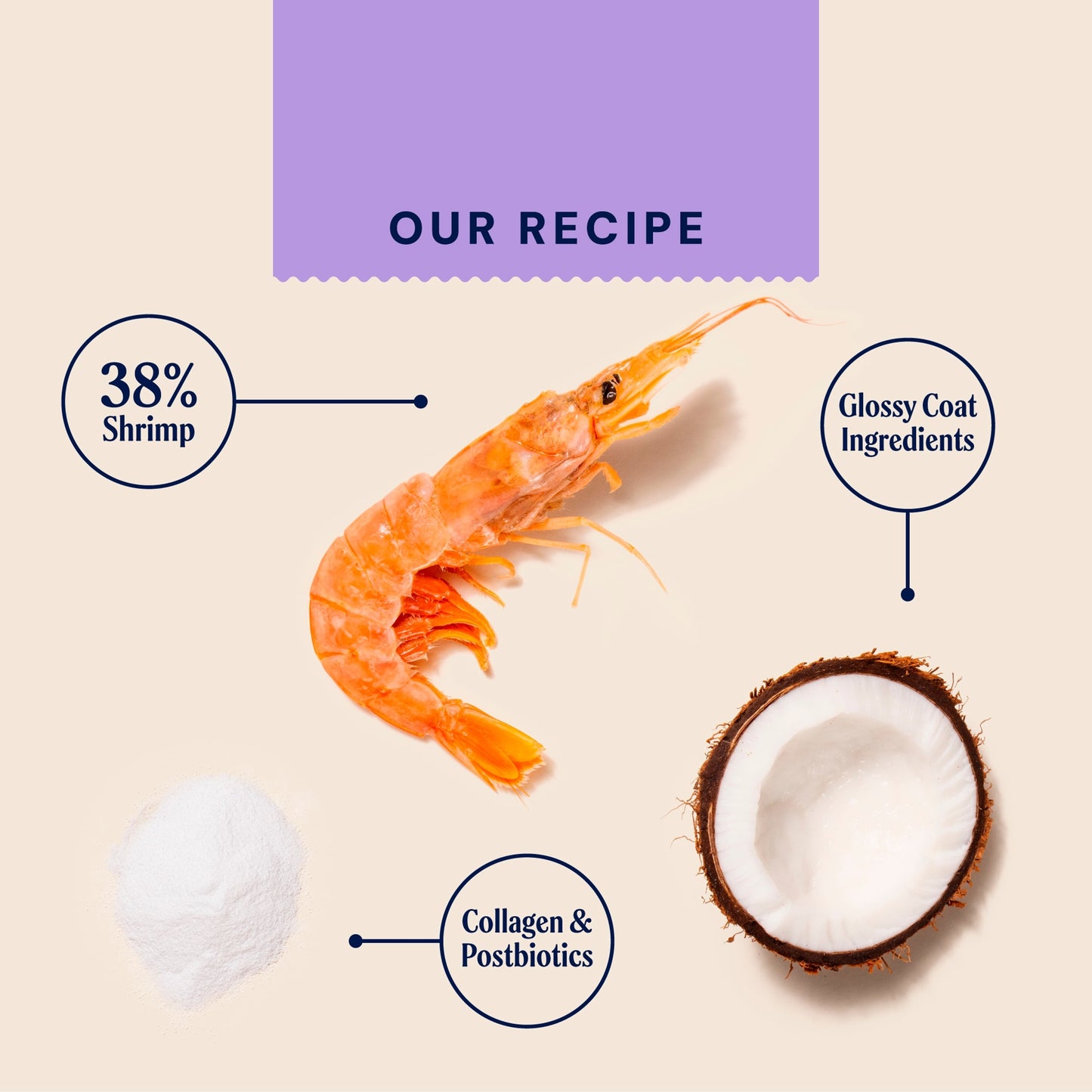 Pooch & Mutt Probiotic Meaty Dog Treats - Shrimp & Coconut 120g — image 3