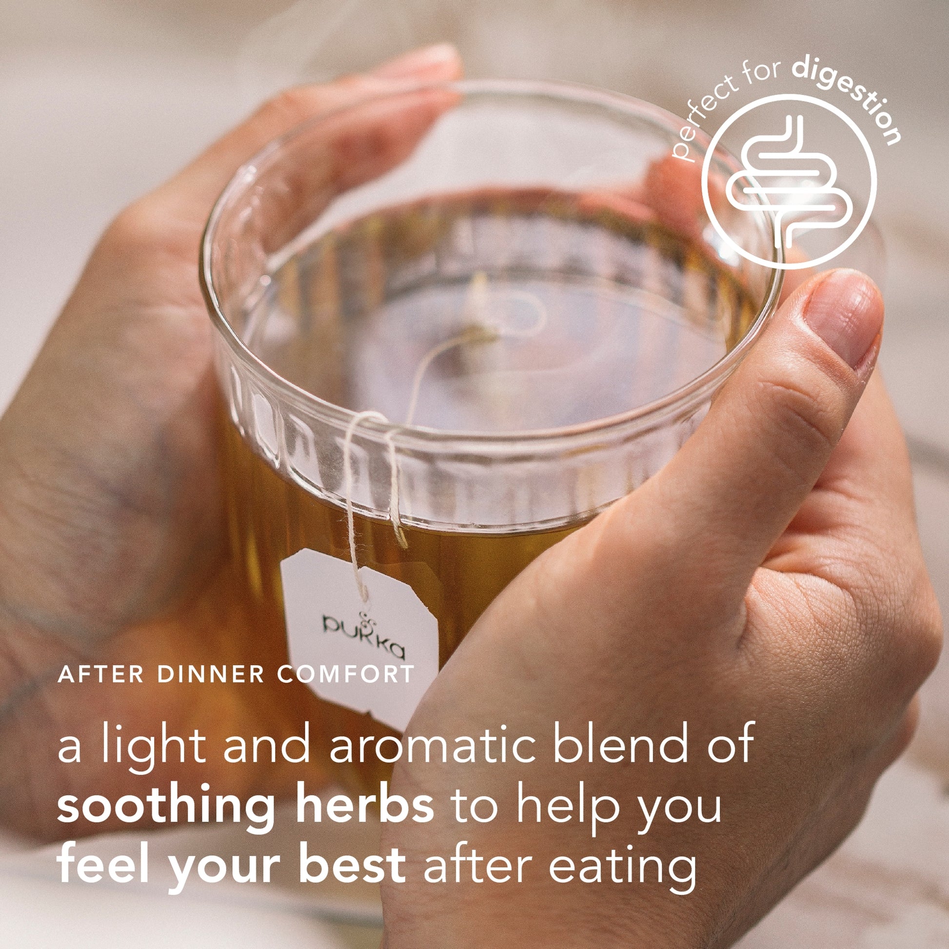 Pukka Organic After Dinner Tea With Fennel for Digestion 20 Herbal Tea Bags 40g — image 5