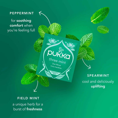 Pukka Organic Digest Collection With Peppermint And Ginger 8 Tea Bags