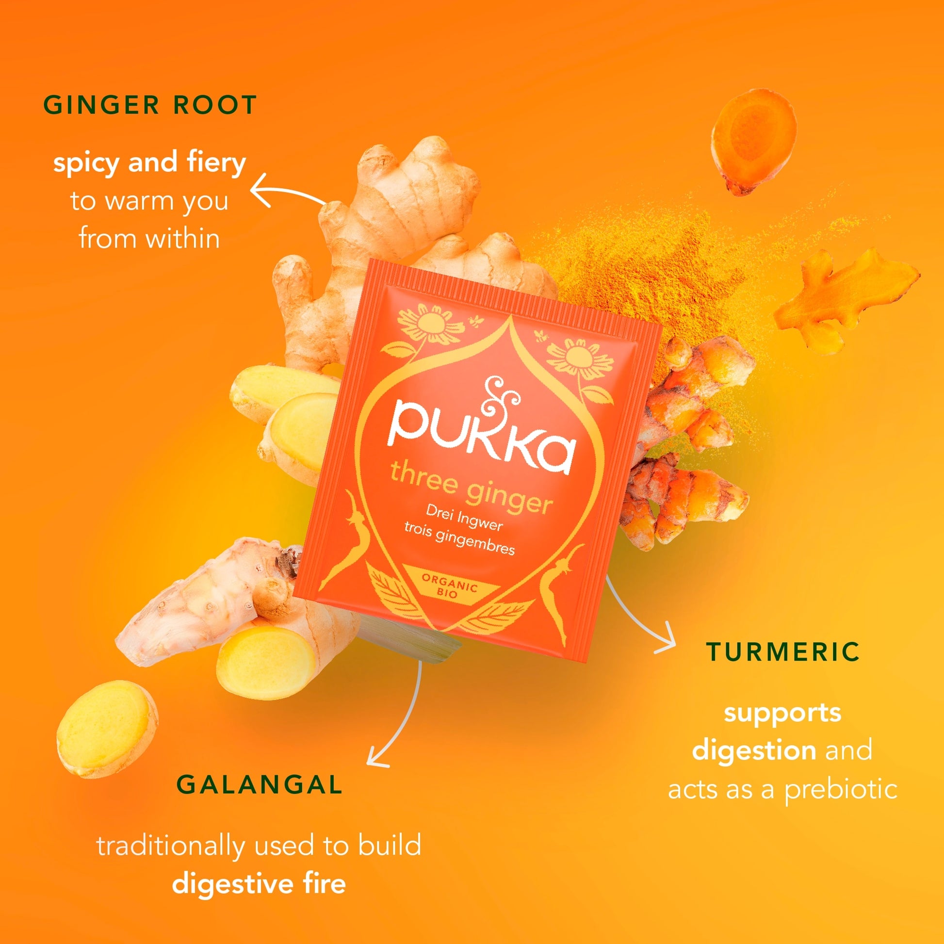 Pukka Organic Digest Collection with Peppermint and Ginger 8 Tea Bags 13.6g — image 5