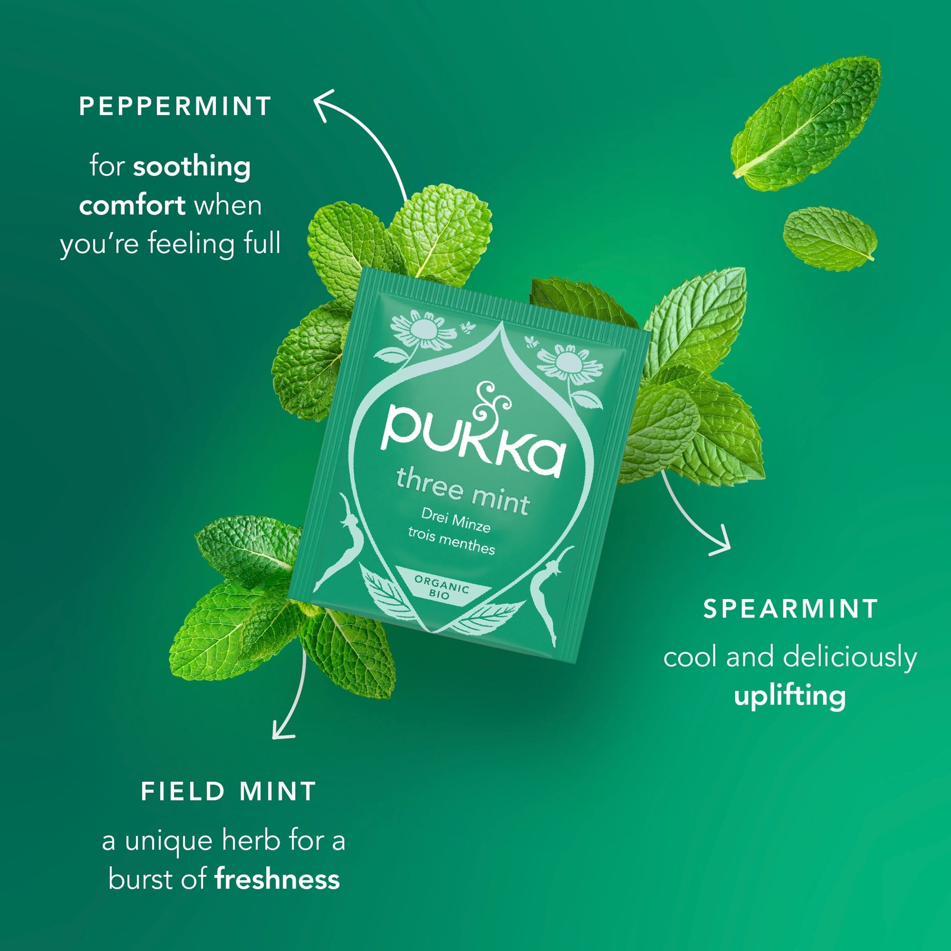 Pukka Organic Three Mint Tea With Peppermint for Digestion 40 Herbal Tea Bags 64g — image 3