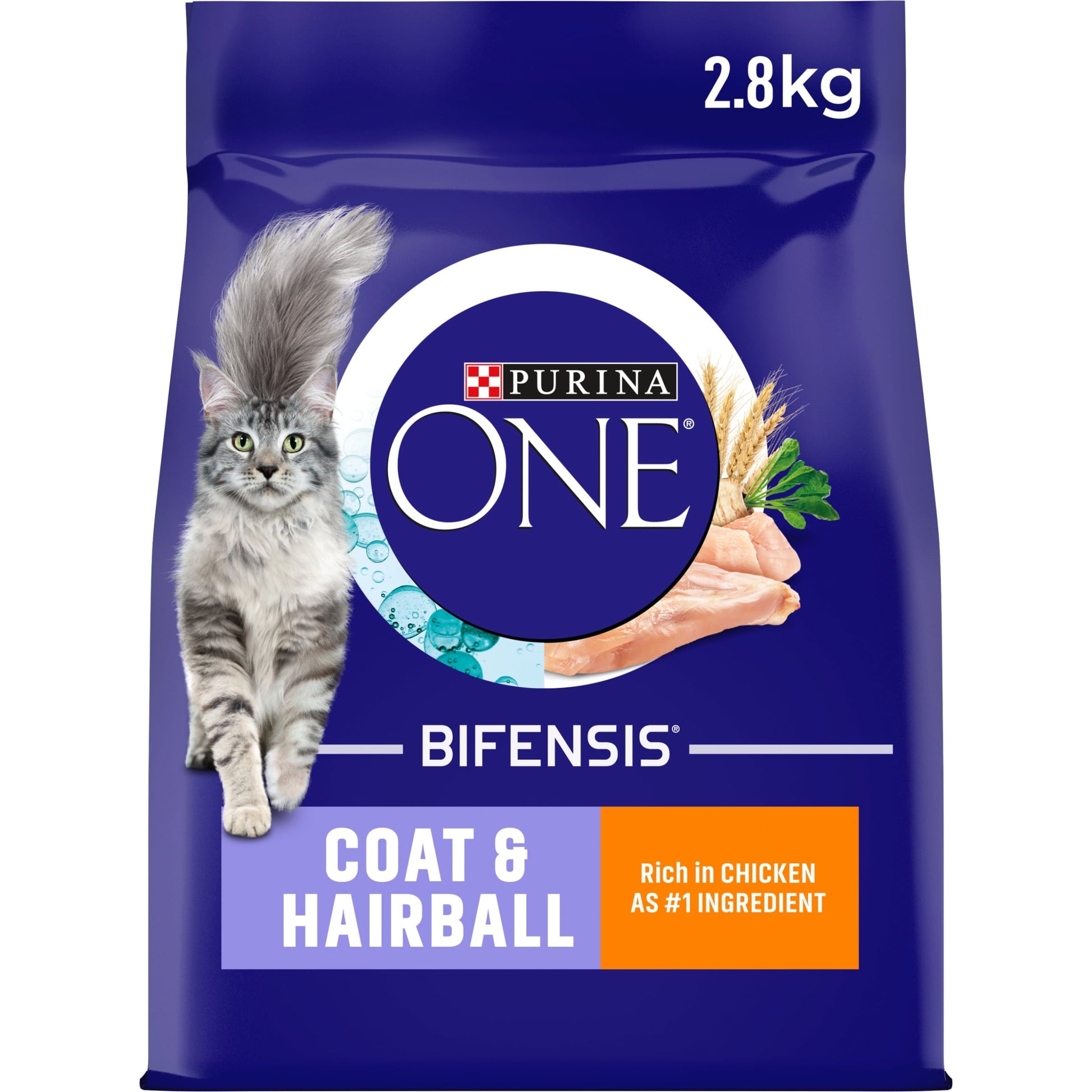 PURINA ONE Coat and Hairball Chicken Dry Cat Food 2.8kg — image 1