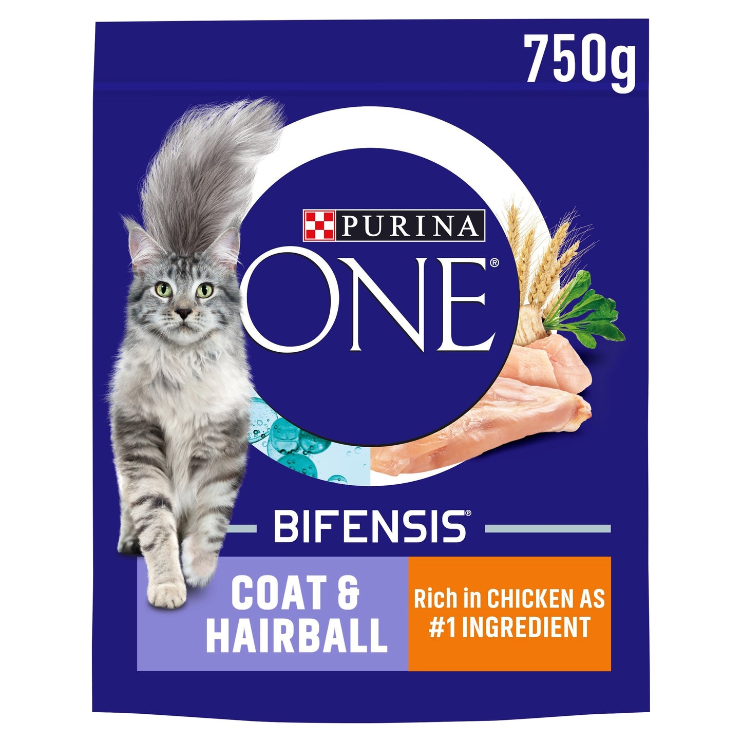 PURINA ONE Coat and Hairball Chicken Dry Cat Food 750g — image 1
