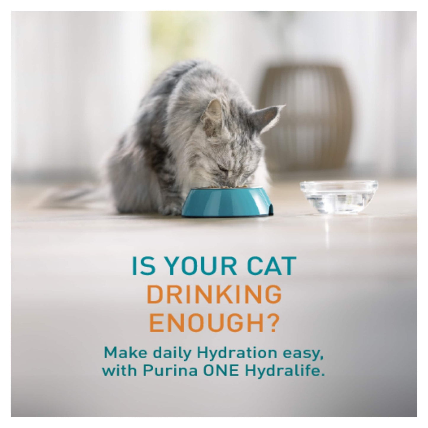 Purina ONE HYDRALIFE with Chicken Cat Compliment 6x50g — image 2