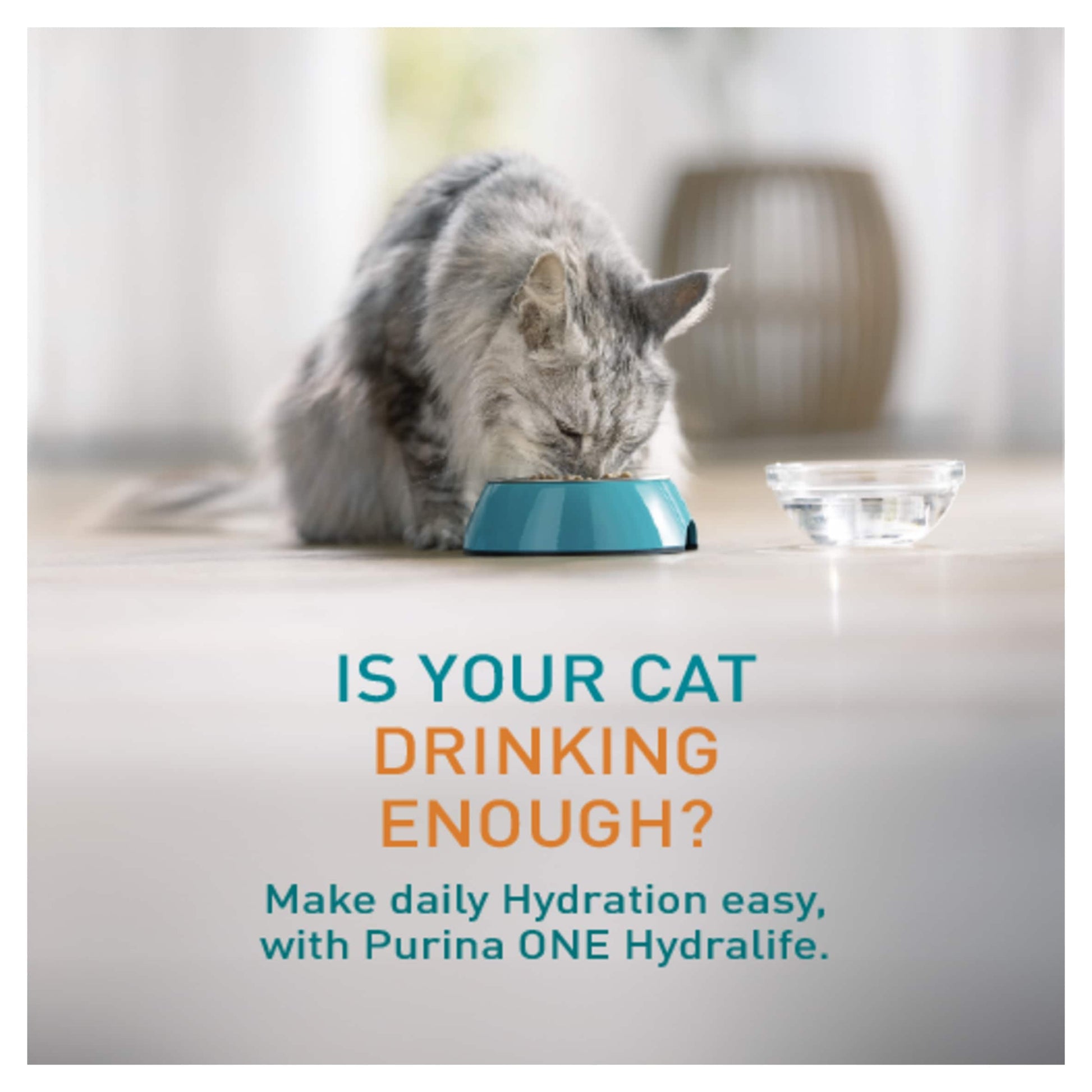 Purina ONE HYDRALIFE with Chicken Cat Compliment 6x50g — image 2