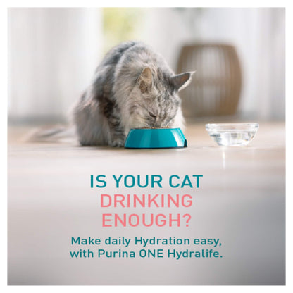 Purina ONE HYDRALIFE with Salmon Cat Compliment 6x50g — image 2