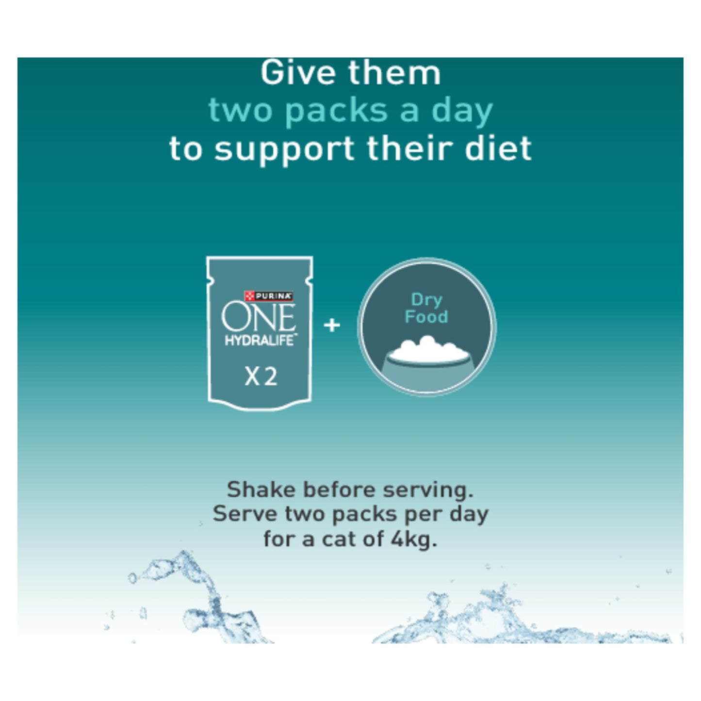 Purina ONE HYDRALIFE with Salmon Cat Compliment 6x50g — image 7