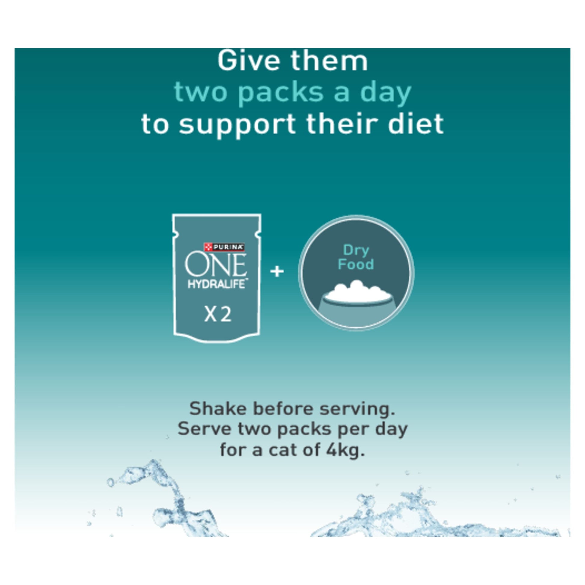 Purina ONE HYDRALIFE with Salmon Cat Compliment 6x50g — image 7