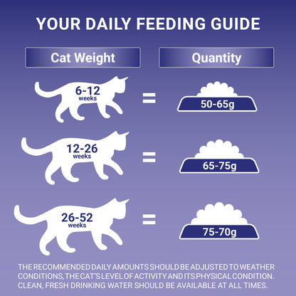 Purina One Kitten Dry Cat Food Chicken 750G — image 5