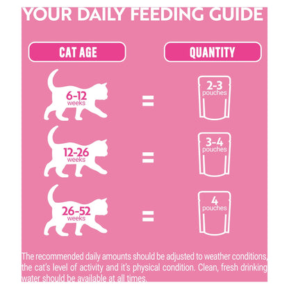 PURINA ONE Kitten Mini Fillets Salmon and Chicken Wet Cat Food 8x85g — image 5