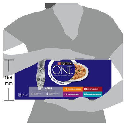 PURINA ONE Mini Fillets Mixed Selection in Gravy Wet Cat Food 40x85g — image 3