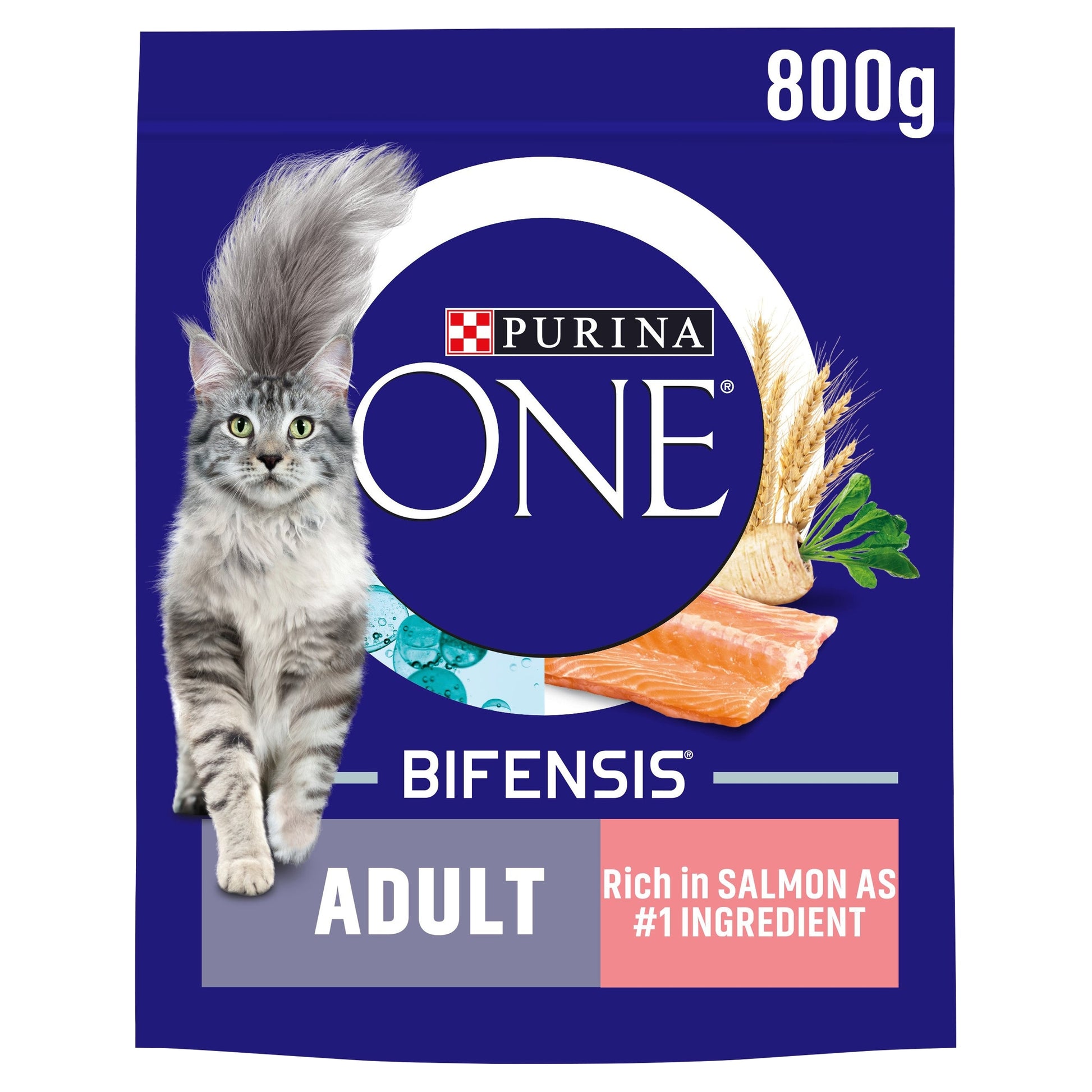 PURINA ONE Salmon Dry Cat Food 800g — image 1