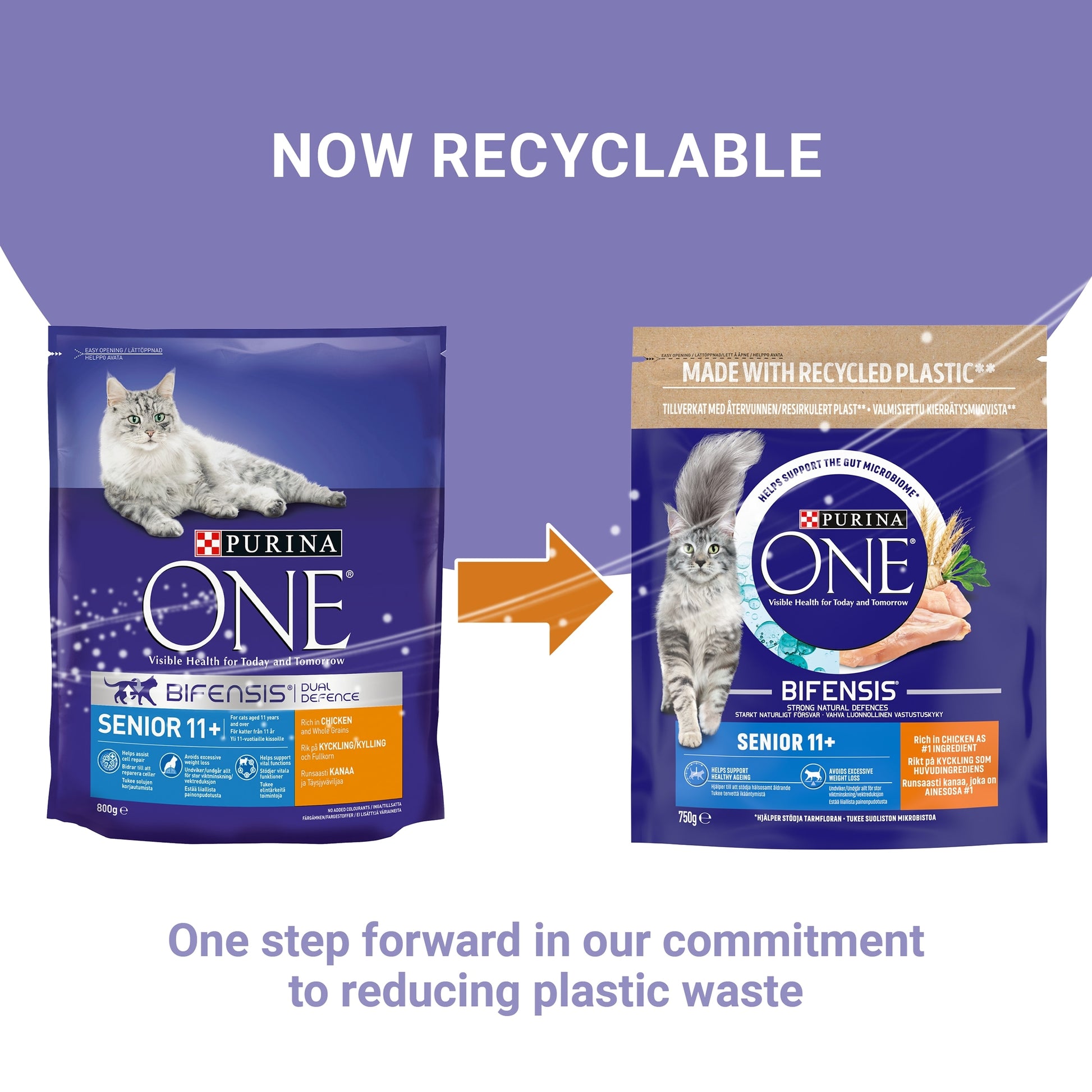 PURINA ONE Senior 11+ Chicken Dry Cat Food 750g — image 2
