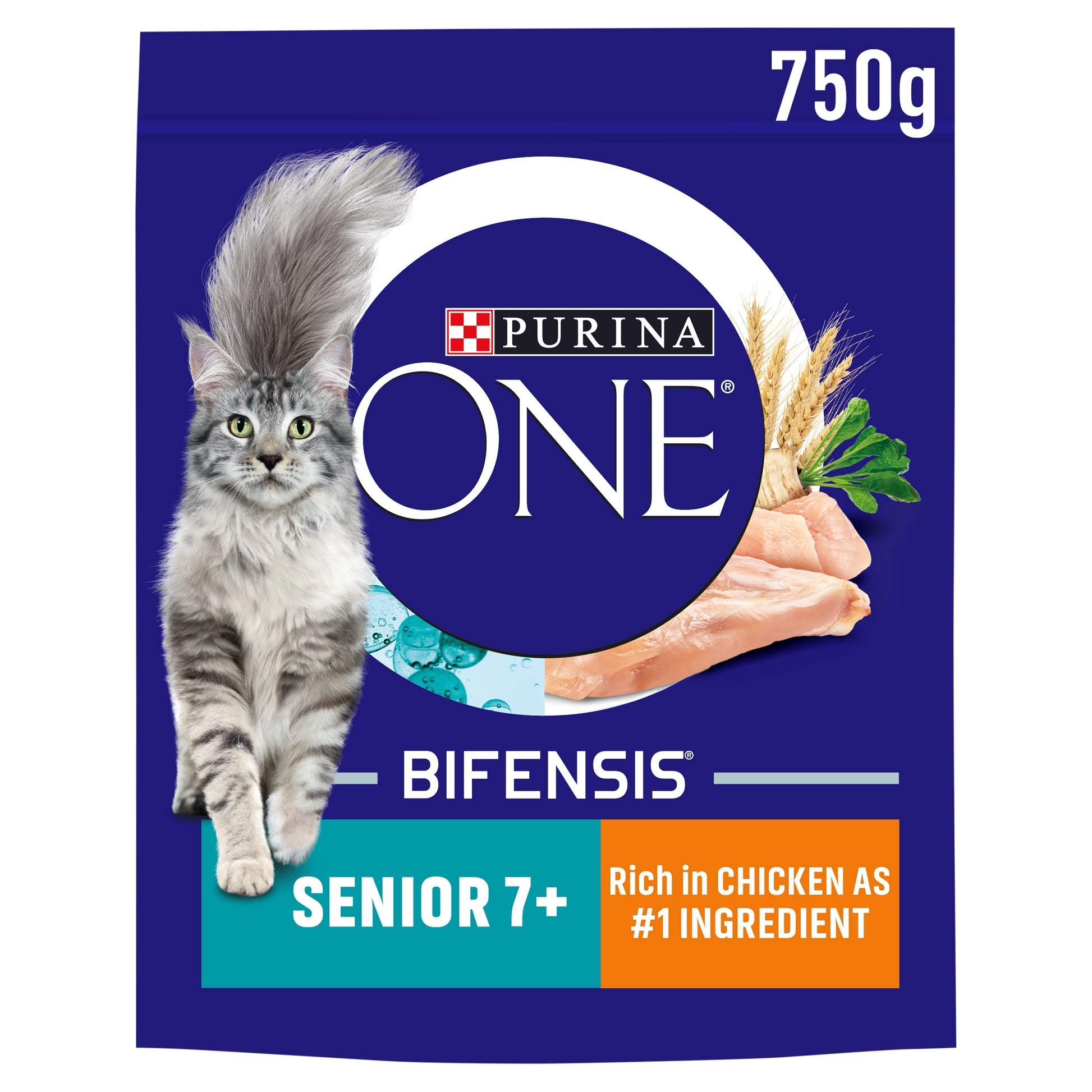 PURINA ONE Senior 7+ Chicken Dry Cat Food 750g — image 1