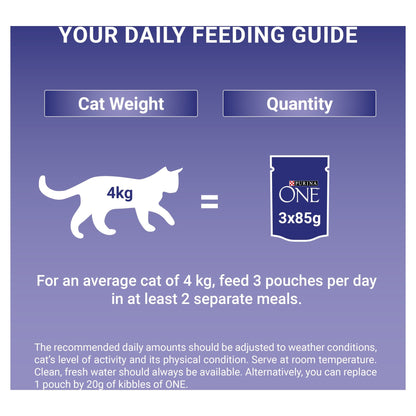 Purina One Senior 7+ Mini Fillets Mixed Selection Wet Cat Food 40x85g — image 6