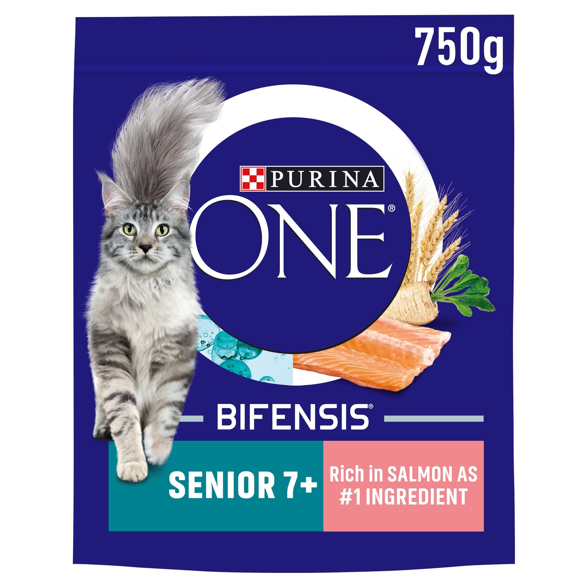PURINA ONE Senior 7+ Salmon Dry Cat Food 750g — image 1