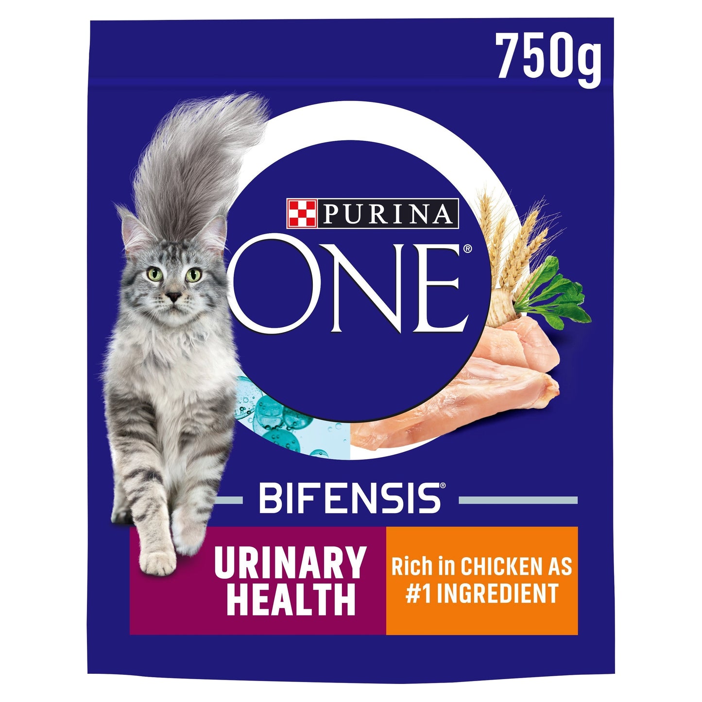 PURINA ONE Urinary Health Chicken Dry Cat Food 750g — image 1