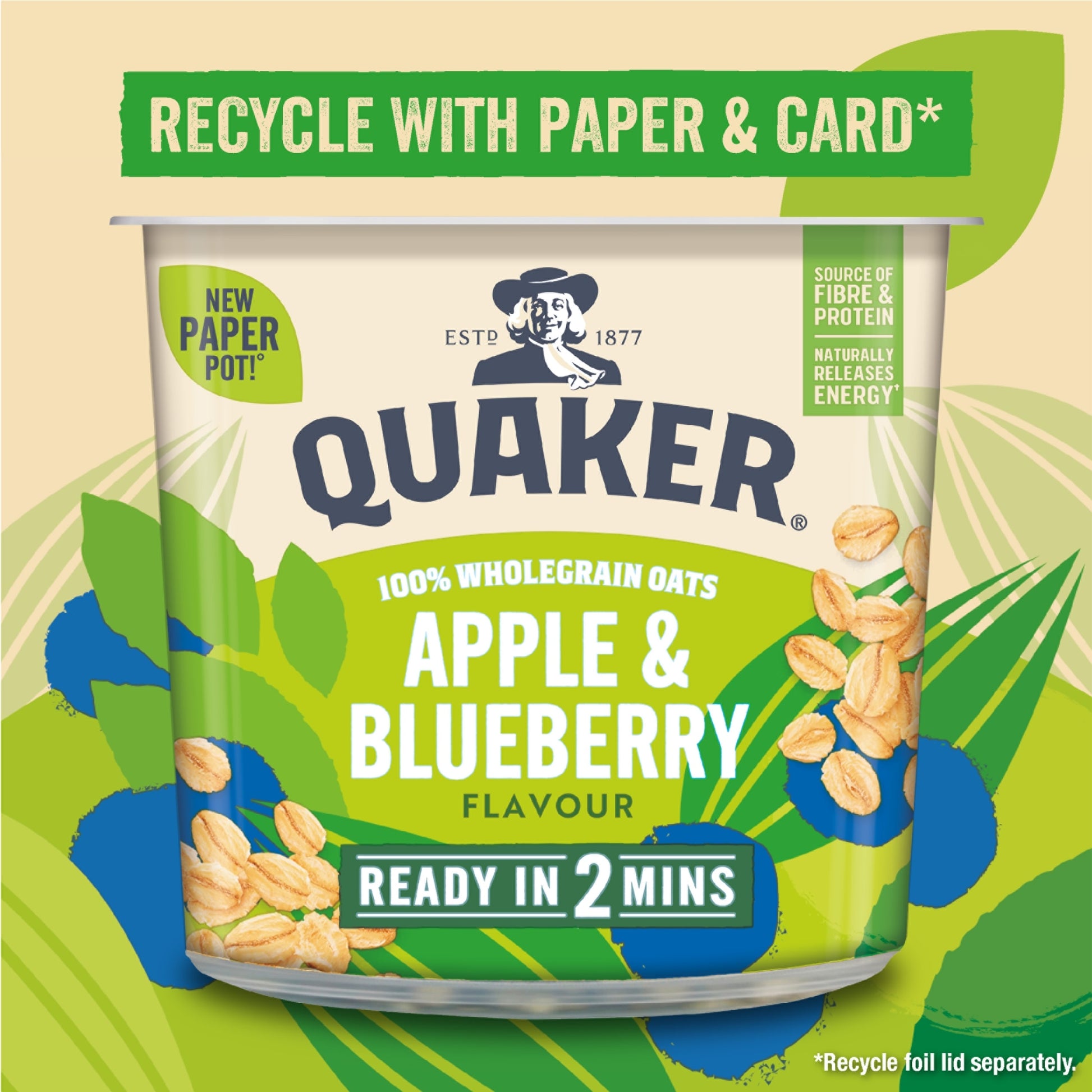 Quaker Oat So Simple Apple & Blueberry Porridge Pot 57g — image 2
