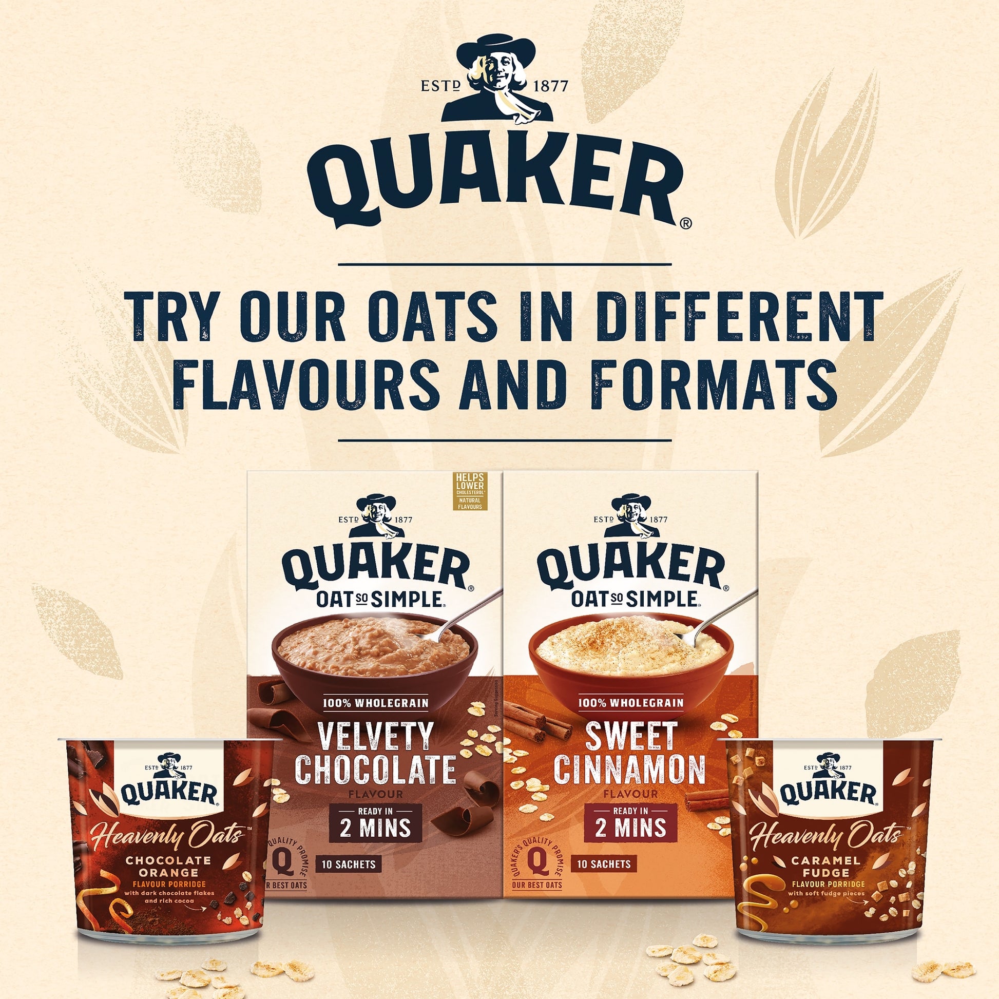 Quaker Oat So Simple Sweet Cinnamon Porridge Sachets 10x33g — image 2
