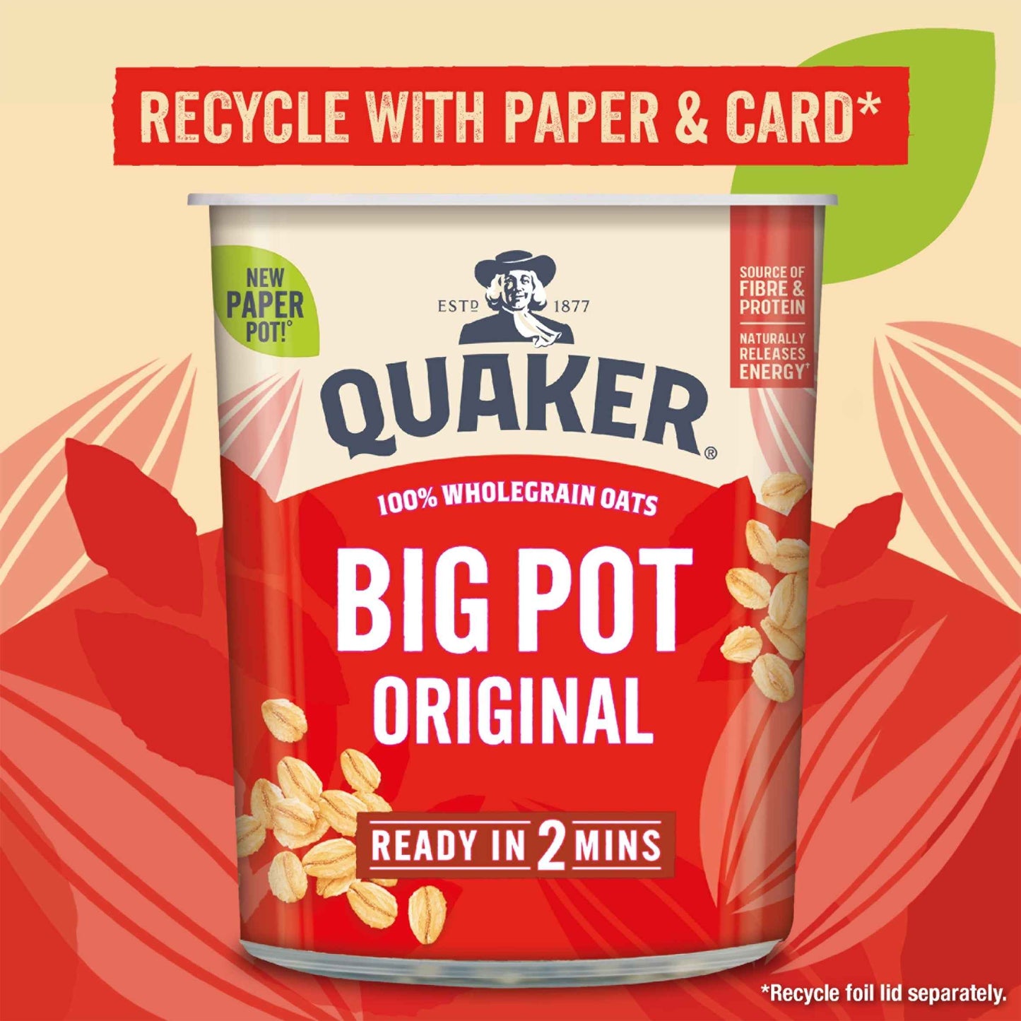 QUAKER Oss Original Oats Big Pot 60g