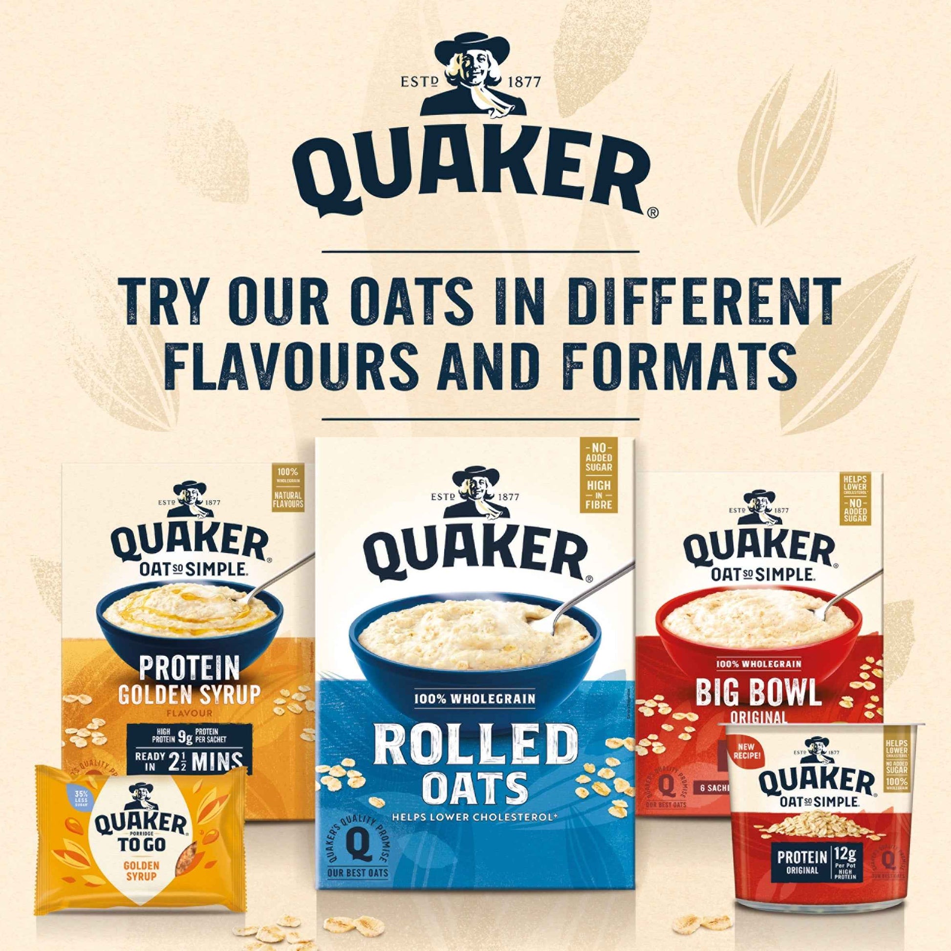 QUAKER Oss Original Oats Big Pot 60g