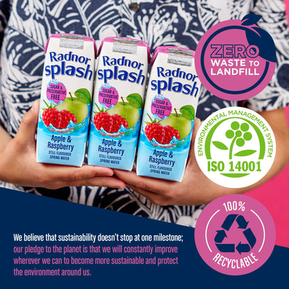 Radnor Splash Apple & Raspberry 3 X 250Ml — image 3