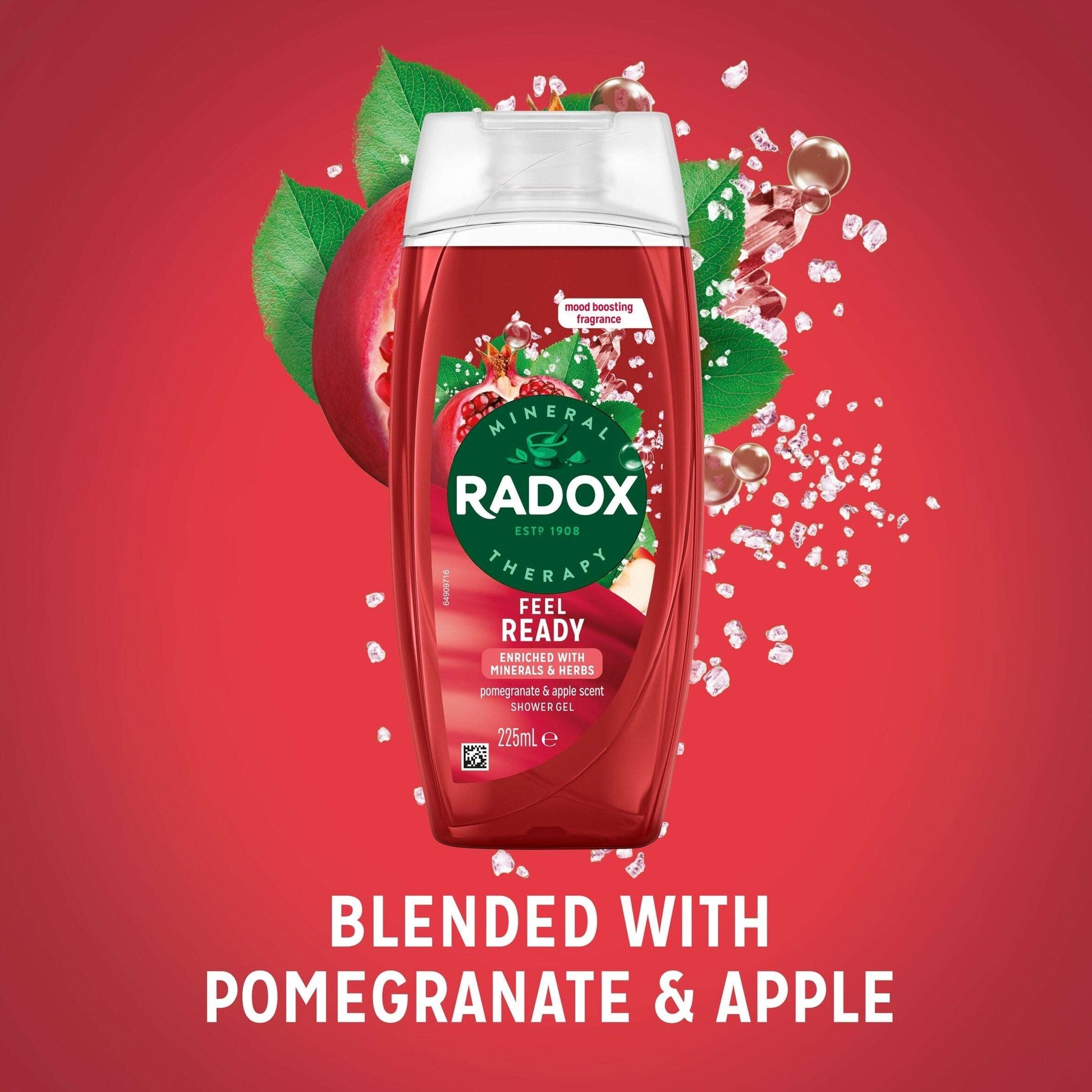 Radox Pomegranate & Apple Feel Ready Shower Gel Body Wash 225ml — image 2