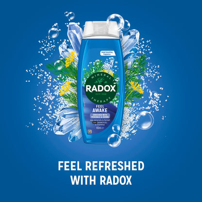 Radox Sea Minerals Feel Awake 2-in-1 Shower Gel Body Wash Shampoo 450ml — image 2