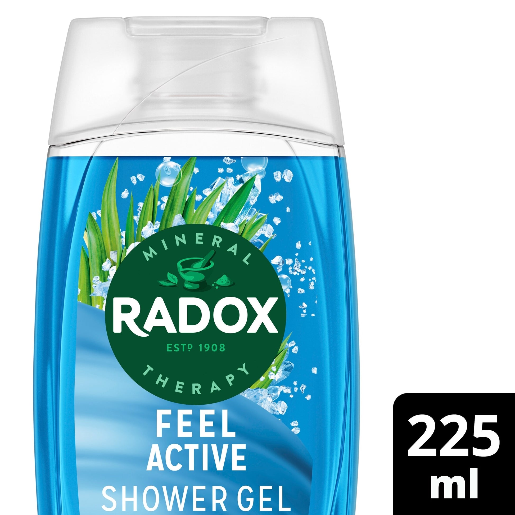 Radox Sea Salt & Lemongrass Feel Active Shower Gel Body Wash 225ml — image 1