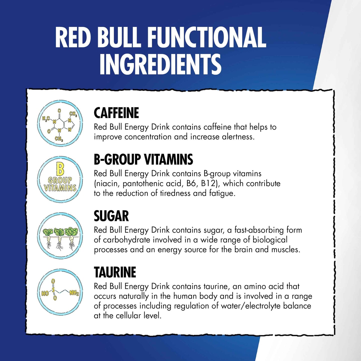 Red Bull The Summer Edition Sugar Free Citrus Zest Edition Energy