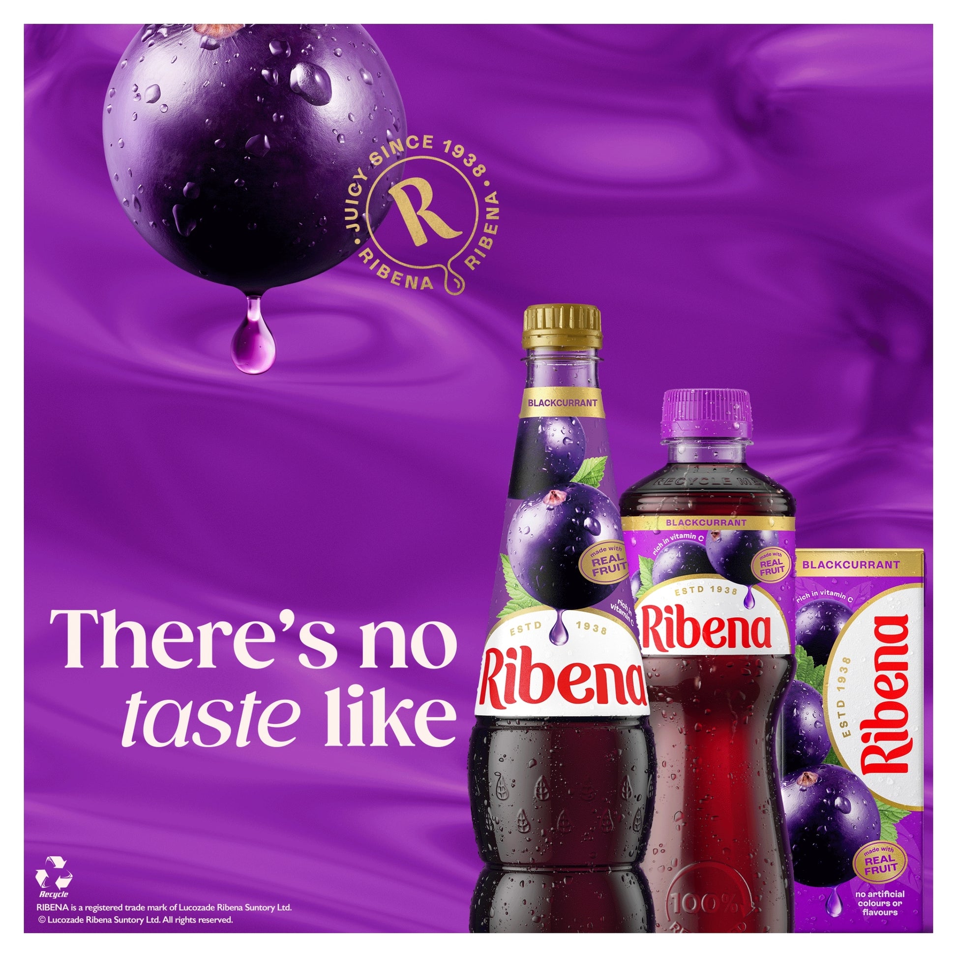 Ribena Blackcurrant Juice Drink 500ml — image 2