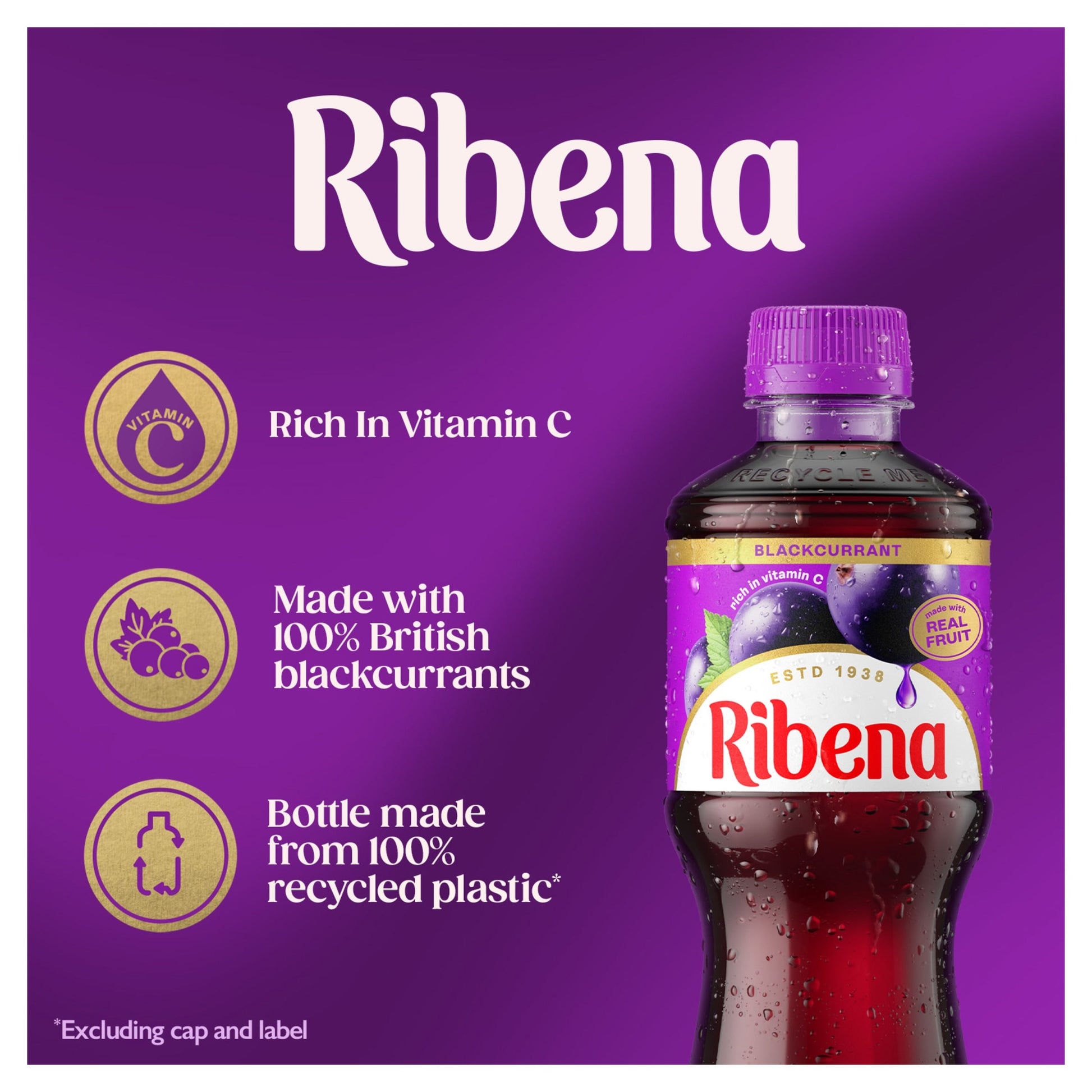 Ribena Blackcurrant Juice Drink 500ml — image 3