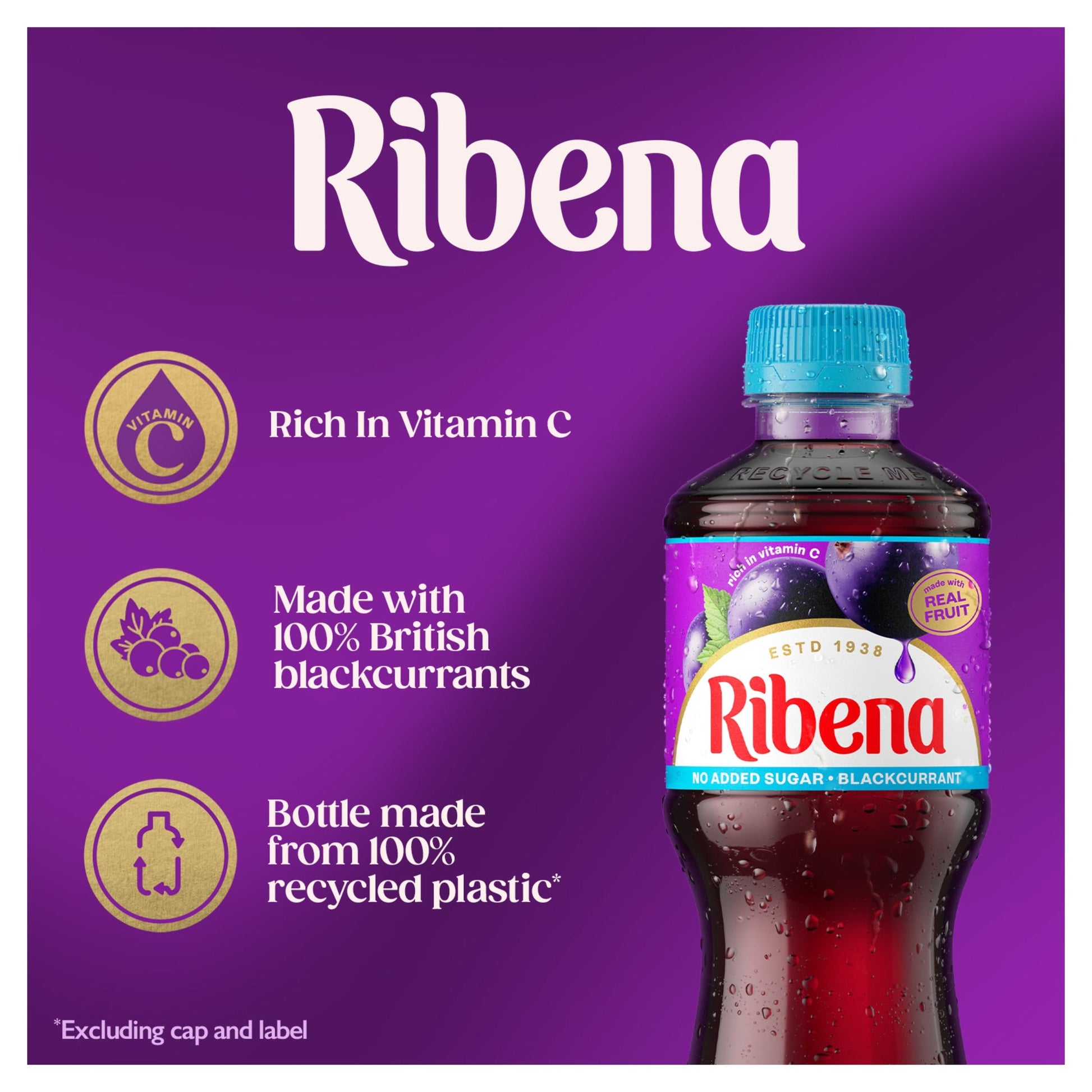 Ribena Blackcurrant Juice Drink No Added Sugar 500ml — image 2