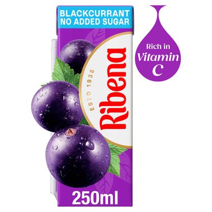 Ribena Blackcurrant No Added Sugar Juice Drink 250ml — image 1