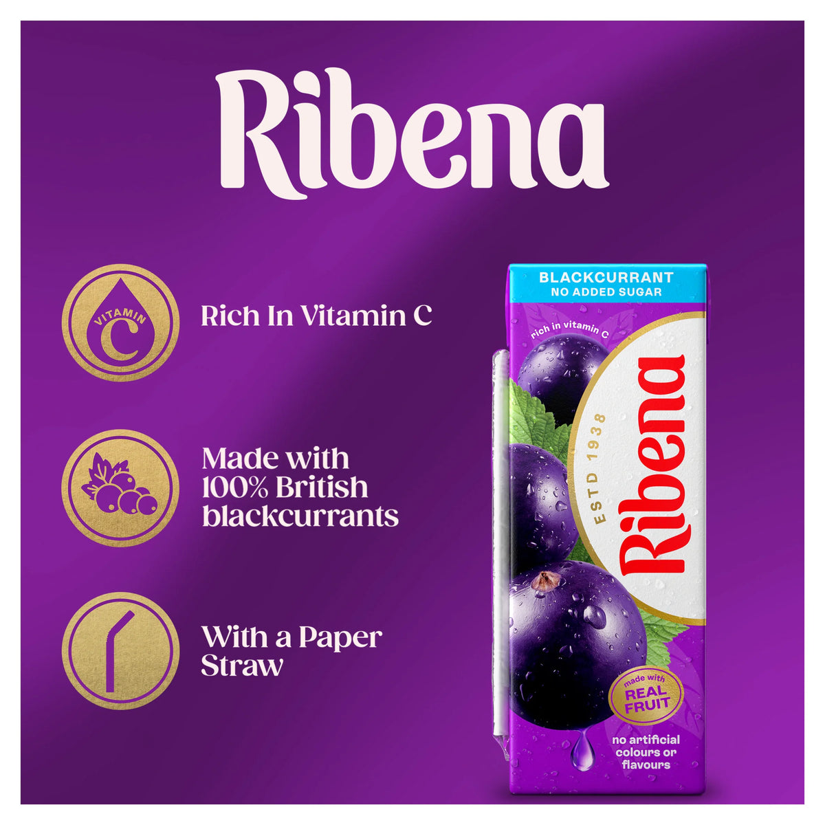 Ribena Blackcurrant No Added Sugar Juice Drink 250ml — image 2