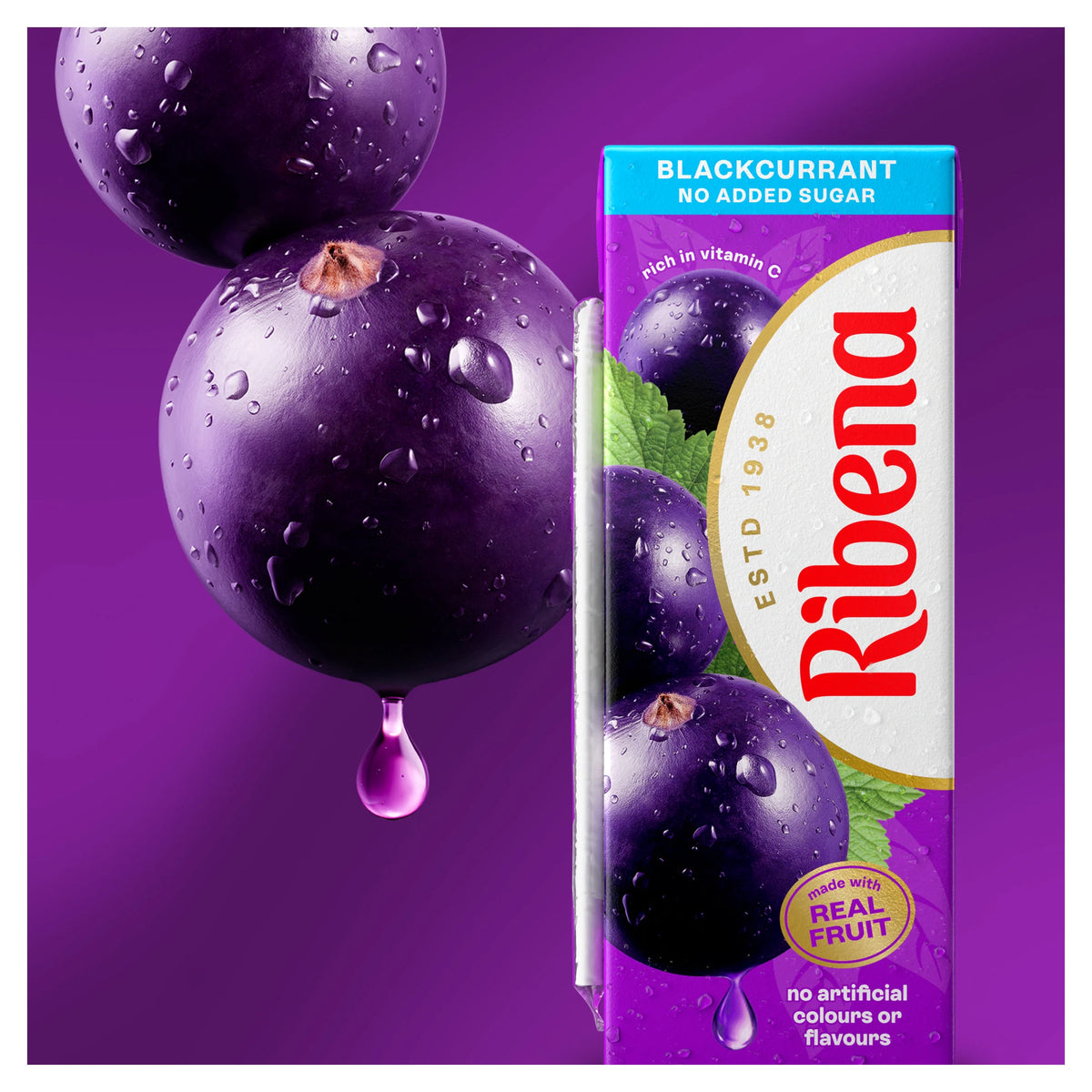 Ribena Blackcurrant No Added Sugar Juice Drink 250ml — image 3
