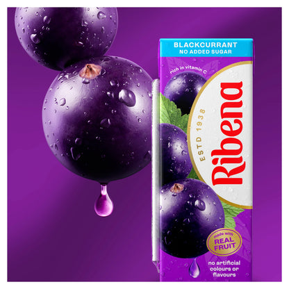 Ribena Blackcurrant No Added Sugar Juice Drink 250ml — image 3